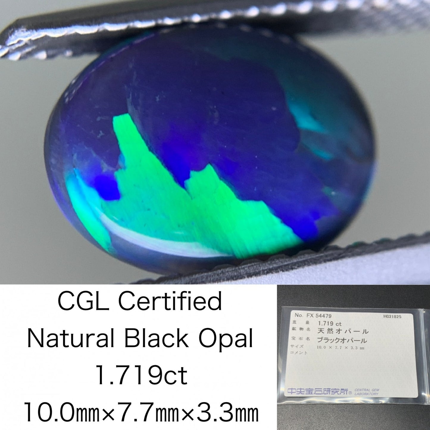ブラックオパール 1.719ct  中央宝石ソーティング付き  10.0㎜×7.7㎜×3.3㎜  ルース（ 裸石 ） 4064Y