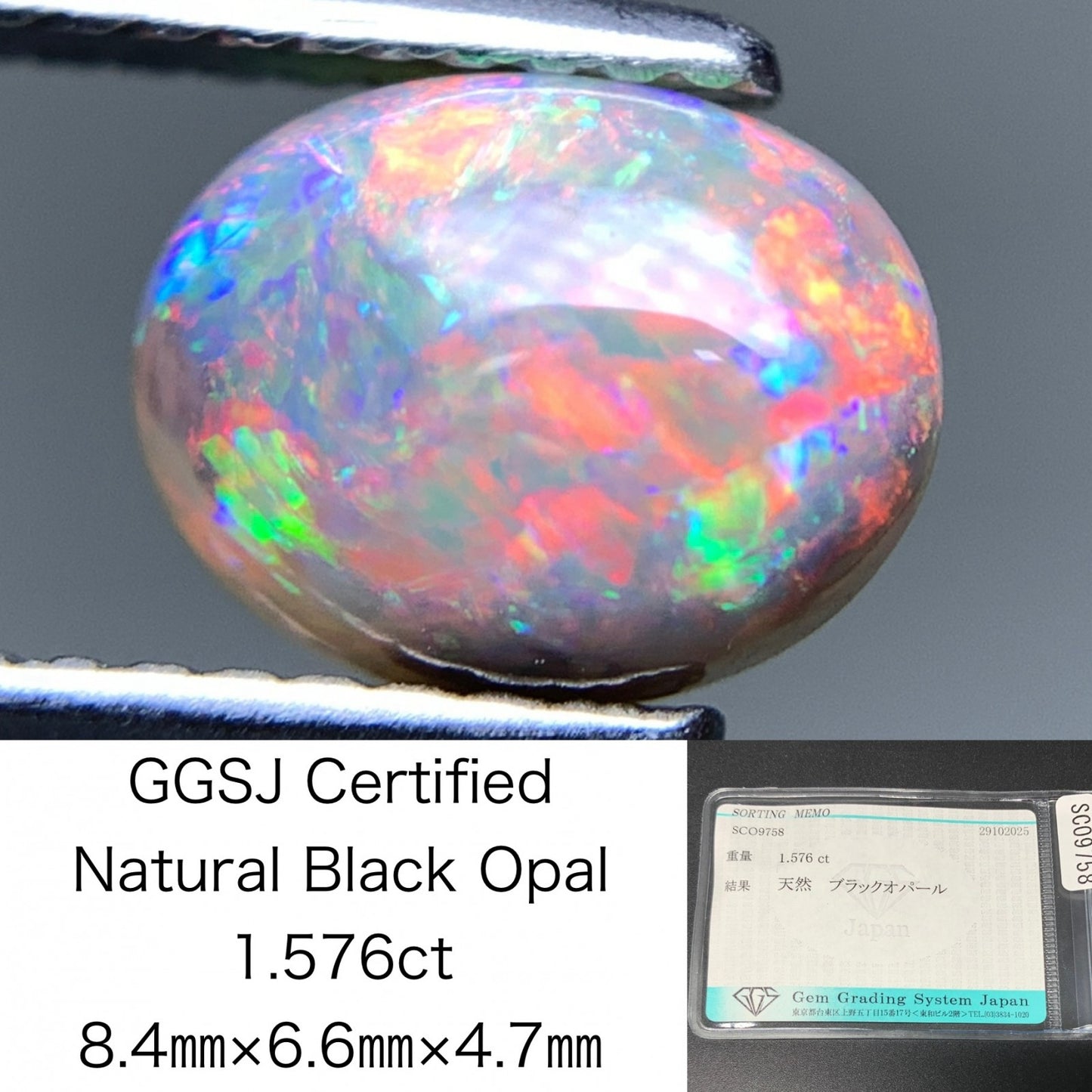 ブラックオパール 天然 1.576ct 宝石ソーティング付き 8.4㎜×6.6㎜×4.7㎜ ルース（ 裸石 ） 7218Y