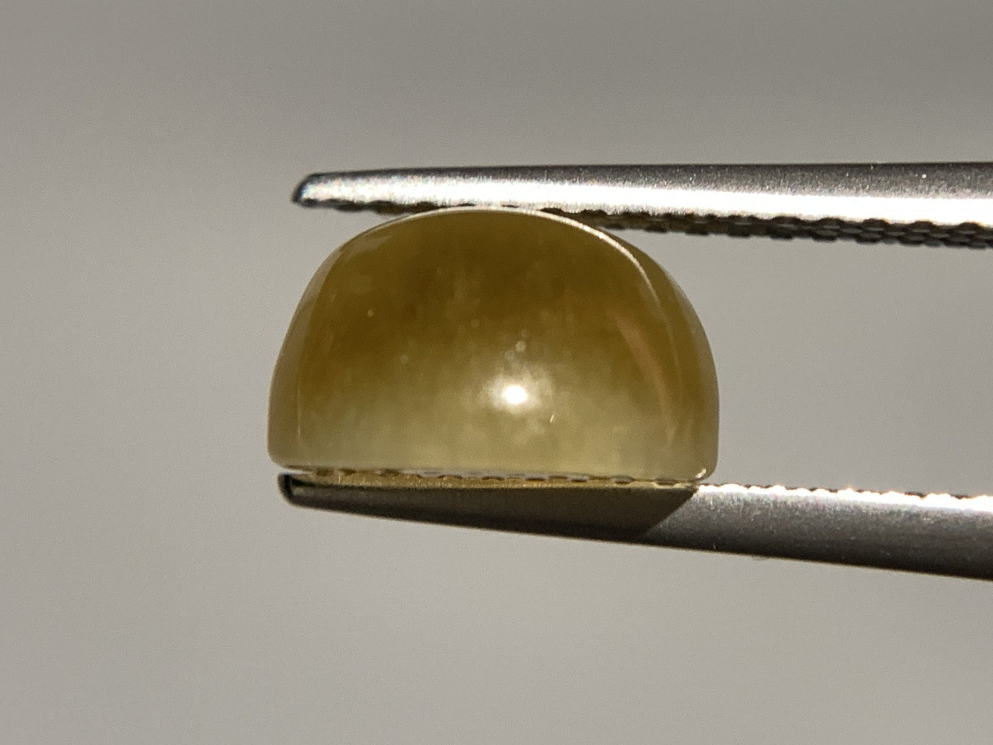クォーツキャッツアイ 2.643ct  宝石ソーティング付き  9.0㎜×7.3㎜×5.3㎜  天然 ルース（ 裸石 ） 4466Y