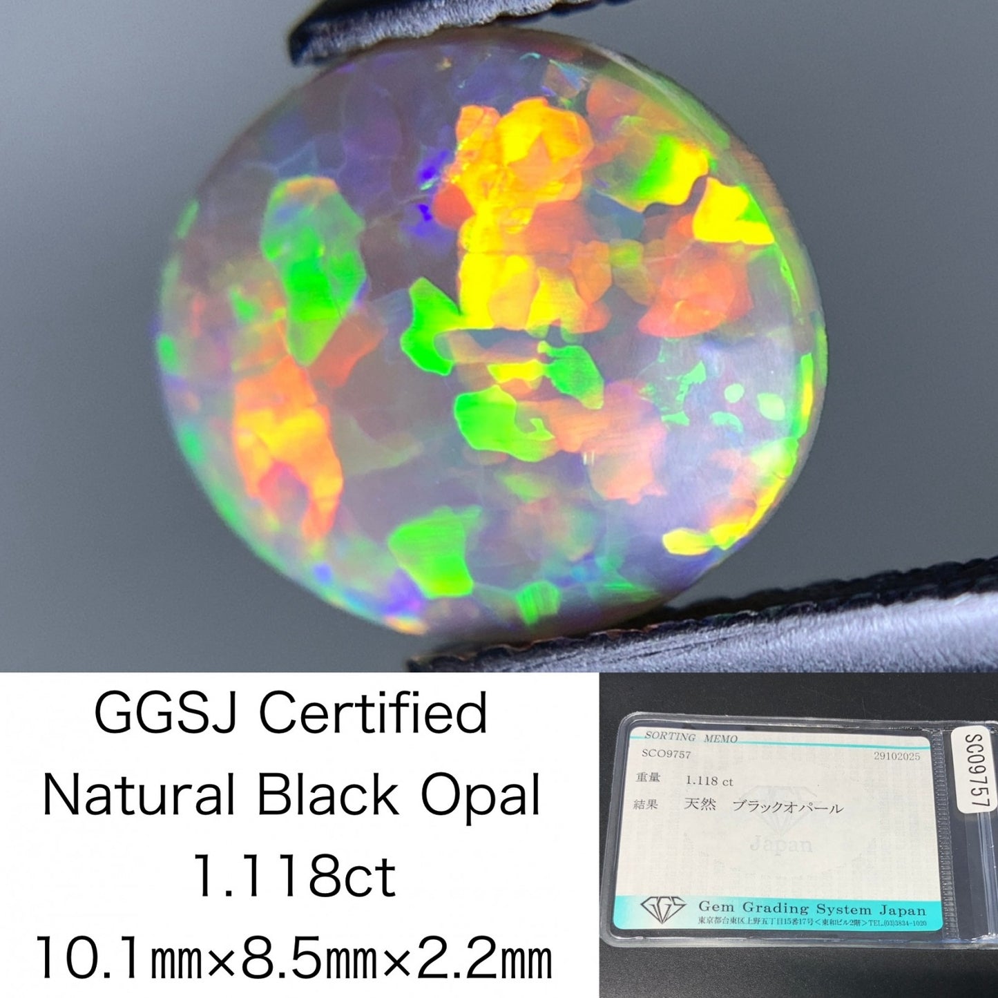 ブラックオパール 天然 1.118ct 宝石ソーティング付き 10.1㎜×8.5㎜×2.2㎜ ルース（ 裸石 ） 7270Y