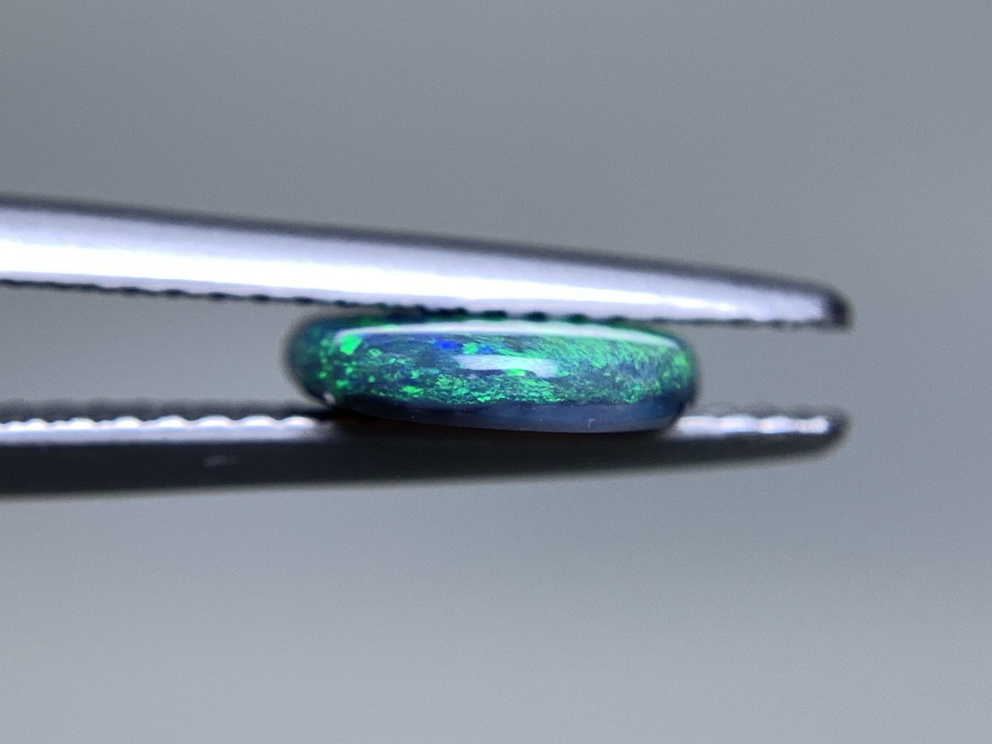ブラックオパール 天然 1.369ct 中央宝石ソーティング付き 11.0㎜×8.5㎜×2.0㎜ ルース（ 裸石 ） 7208Y