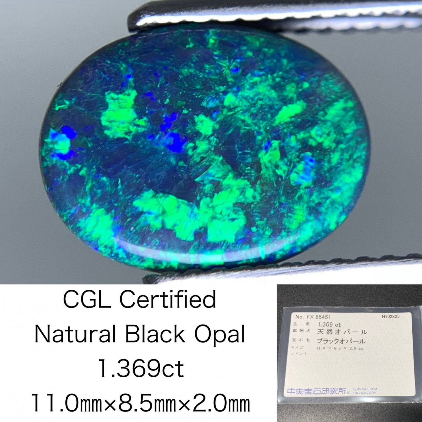 ブラックオパール 天然 1.369ct 中央宝石ソーティング付き 11.0㎜×8.5㎜×2.0㎜ ルース（ 裸石 ） 7208Y