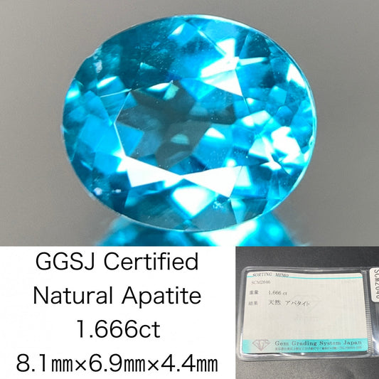 アパタイト 1.666ct  宝石ソーティング付き  8.1㎜×6.9㎜×4.4㎜  天然 ルース（ 裸石 ） 4775Y