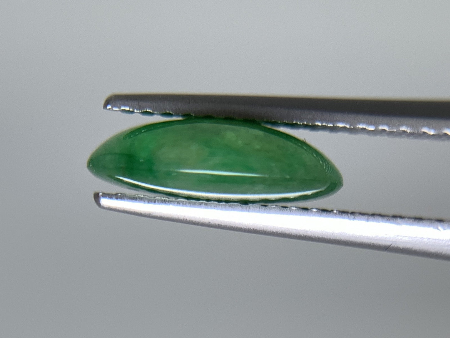 ヒスイ 翡翠  天然  2.707ct  宝石ソーティング付き  10.8㎜×8.4㎜×3.5㎜   ルース（ 裸石 ） 5469Y