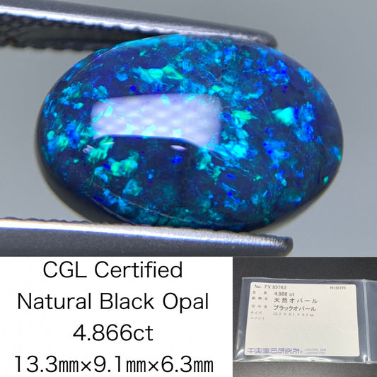 ブラックオパール 天然 4.866ct 中央宝石ソーティング付き 13.3㎜×9.1㎜×6.3㎜ ルース（ 裸石 ） 7171Y