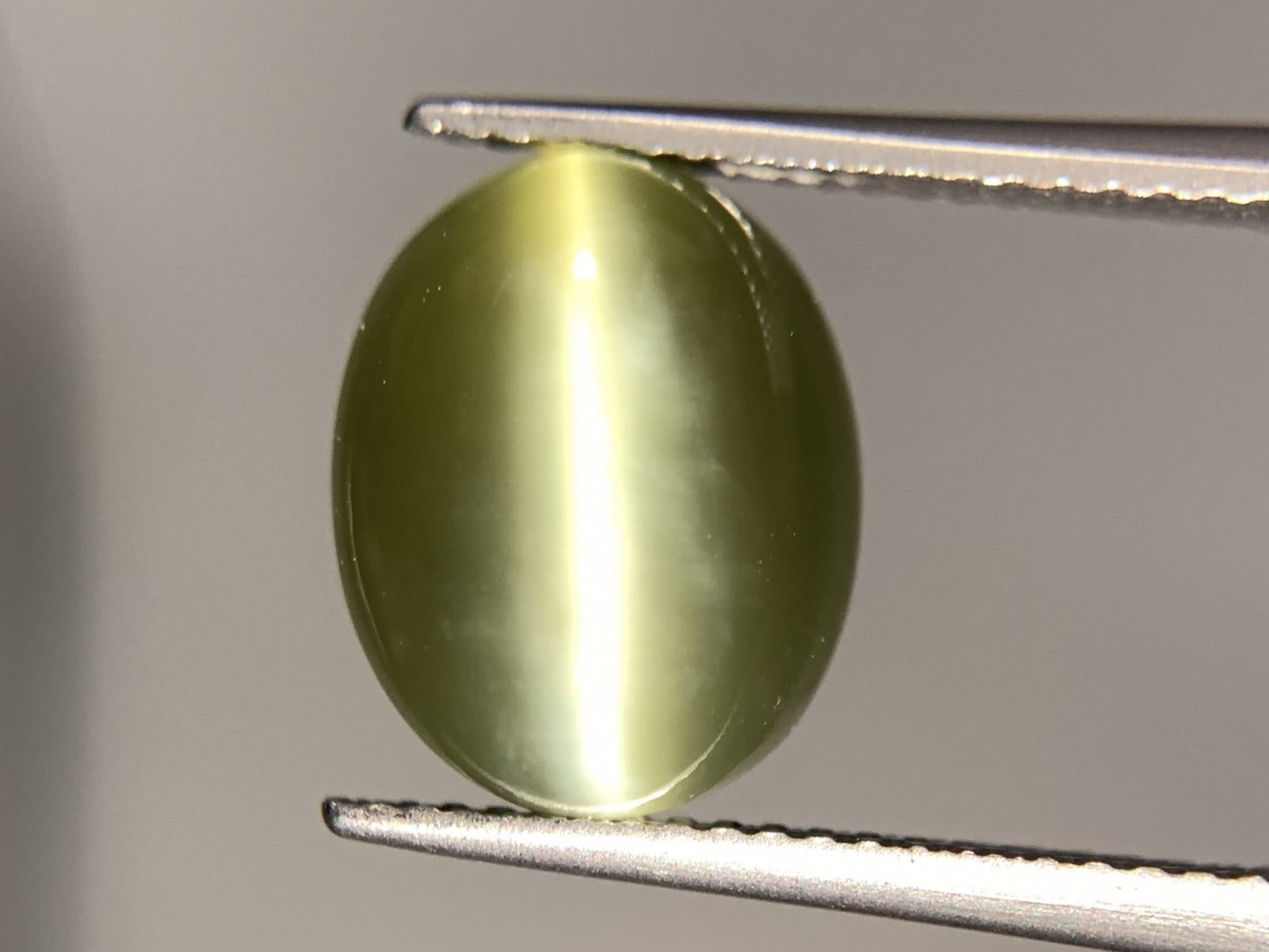 ネフライトキャッツアイ 5.449ct  宝石ソーティング付き  12.5㎜×10.1㎜×5.0㎜  天然 ルース（ 裸石 ） 4781Y