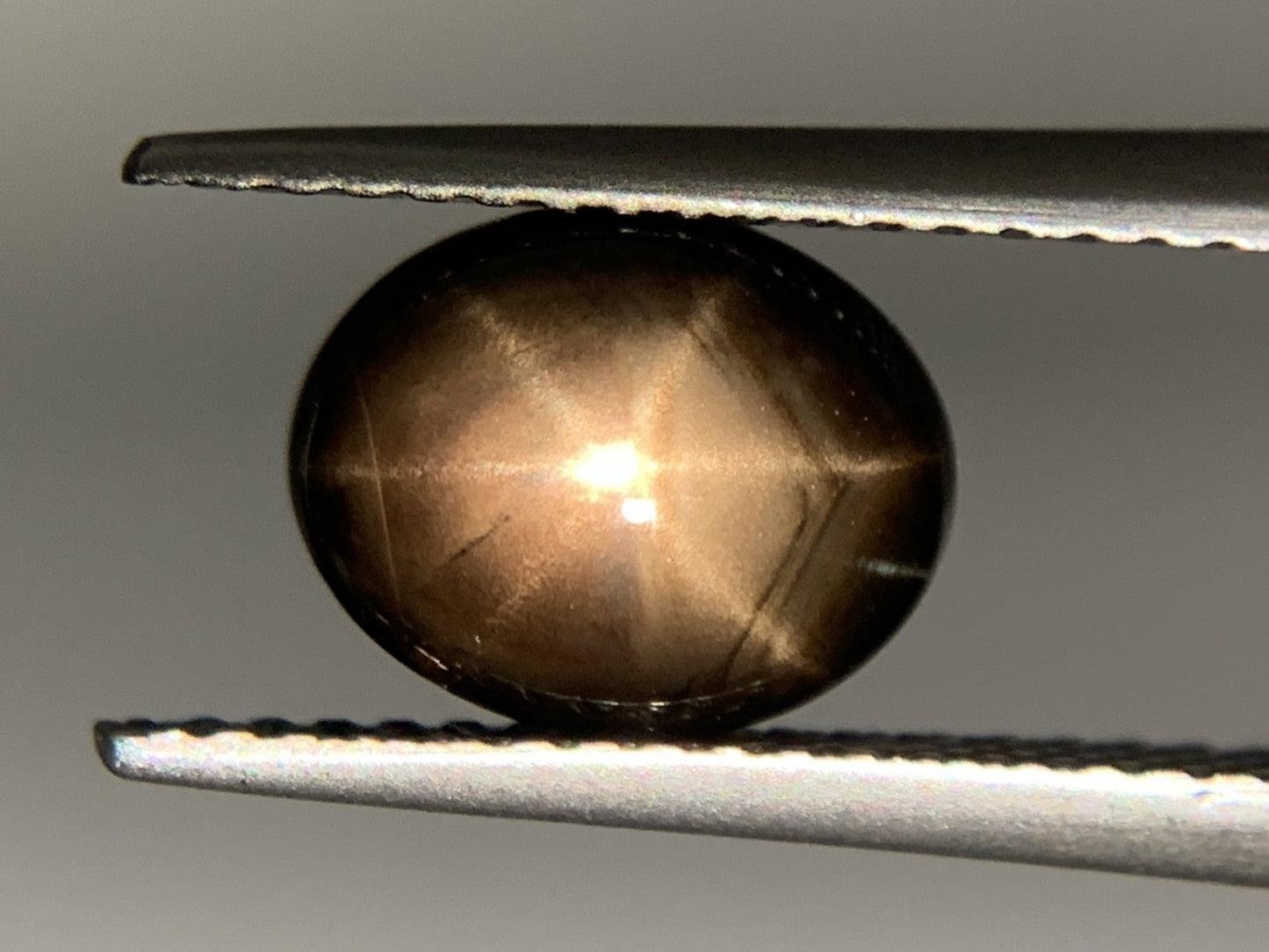 ブラックスターサファイア 2.677ct 宝石ソーティング付き  8.9㎜×7.1㎜×3.7㎜  ルース（ 裸石 ） 3297Y