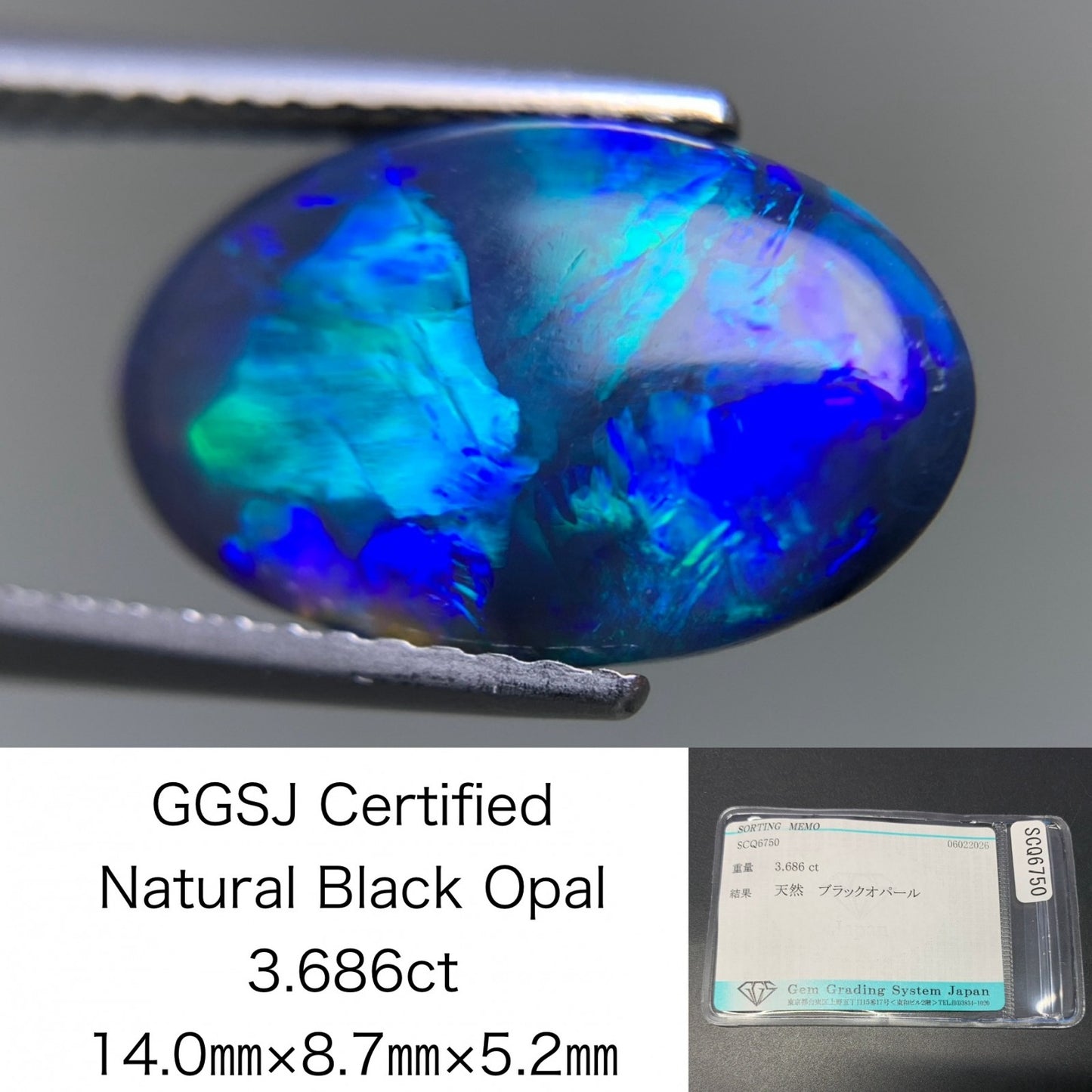 ブラックオパール 天然 3.686ct 宝石ソーティング付き 14.0㎜×8.7㎜×5.2㎜ ルース（ 裸石 ） 8199Y