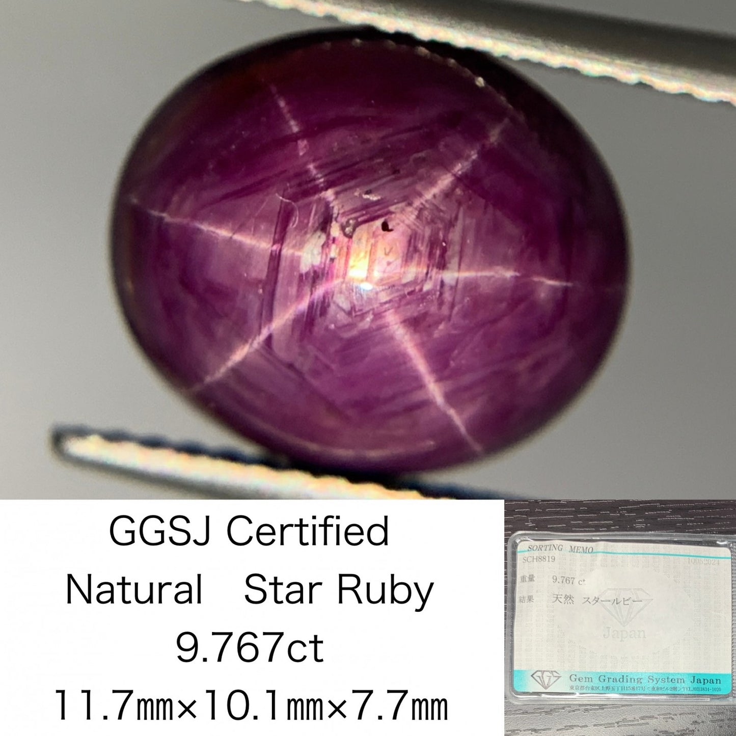 スタールビー　9.767ct　宝石ソーティング付き　11.7㎜×10.1㎜×7.7㎜　 ルース（ 裸石 ）　 1719Y