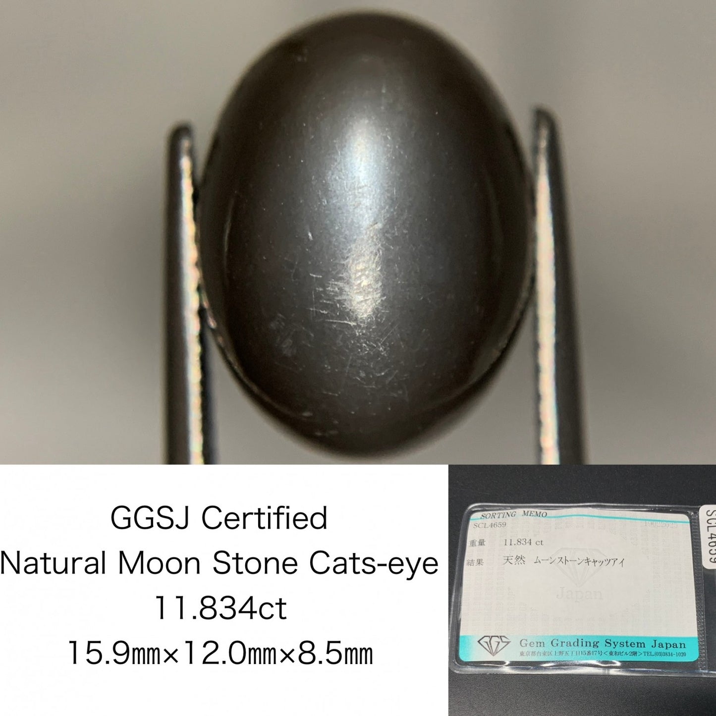 ムーンストーンキャッツアイ 11.834ct 宝石ソーティング付き 15.9㎜×12.0㎜×8.5㎜ ルース（ 裸石 ） 4117Y