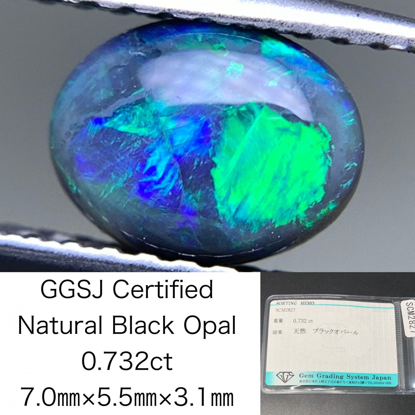 ブラックオパール 0.732ct  宝石ソーティング付き  7.0㎜×5.5㎜×3.1㎜ 天然 ルース（ 裸石 ） 4802Y