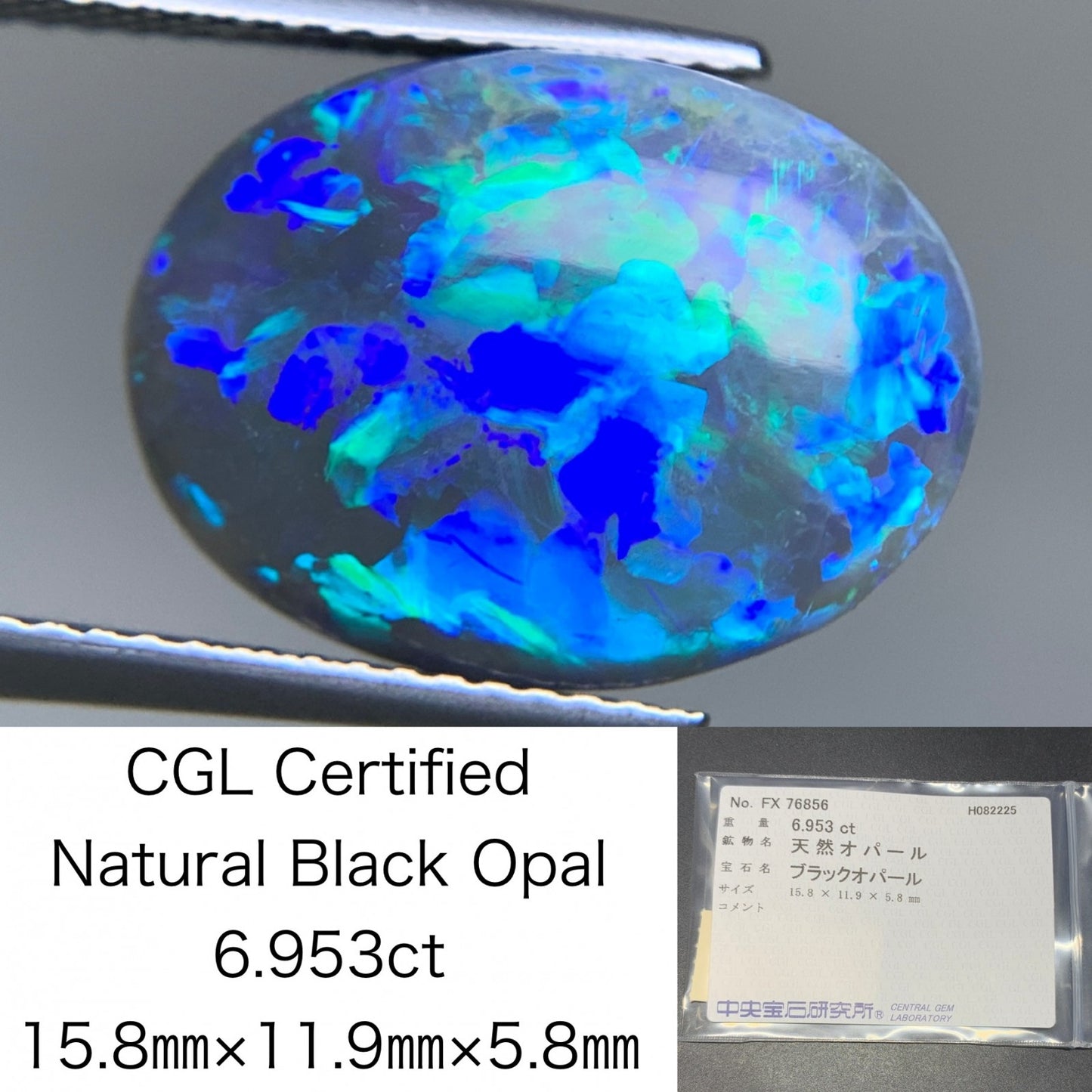 ブラックオパール 天然 6.953ct 中央宝石ソーティング付き 15.8㎜×11.9㎜×5.8㎜ ルース（ 裸石 ） 6501Y