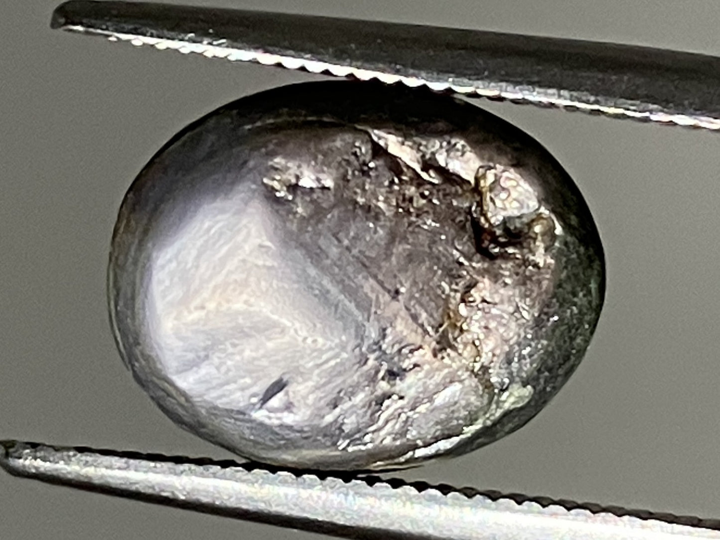 スターサファイア 天然 8.880ct 宝石ソーティング付き 11.9㎜×9.6㎜×7.5㎜ ルース（ 裸石 ） 6259YY