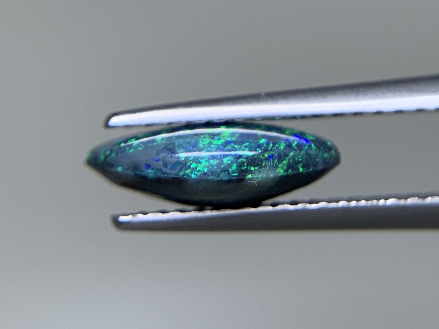 ブラックオパール 天然 1.668ct 中央宝石ソーティング付き 11.0㎜×7.6㎜×3.6㎜ ルース（ 裸石 ） 6453Y