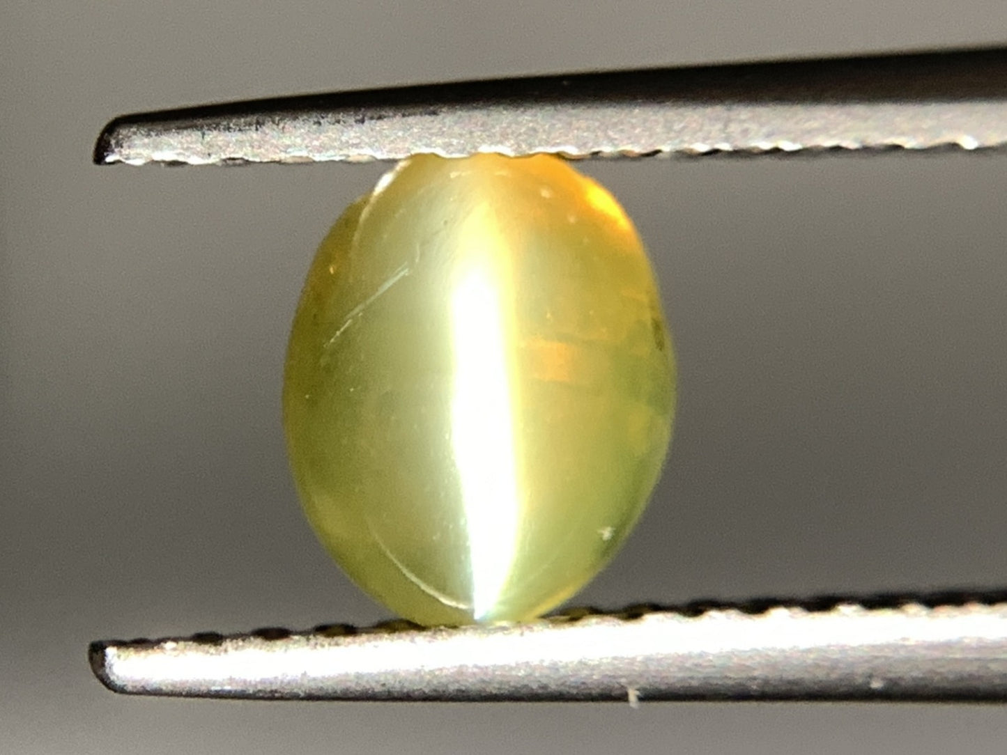 クリソベリルキャッツアイ 1.126ct  宝石ソーティング付き  6.5㎜×5.3㎜×3.4㎜ 天然 ルース（ 裸石 ） 4754Y