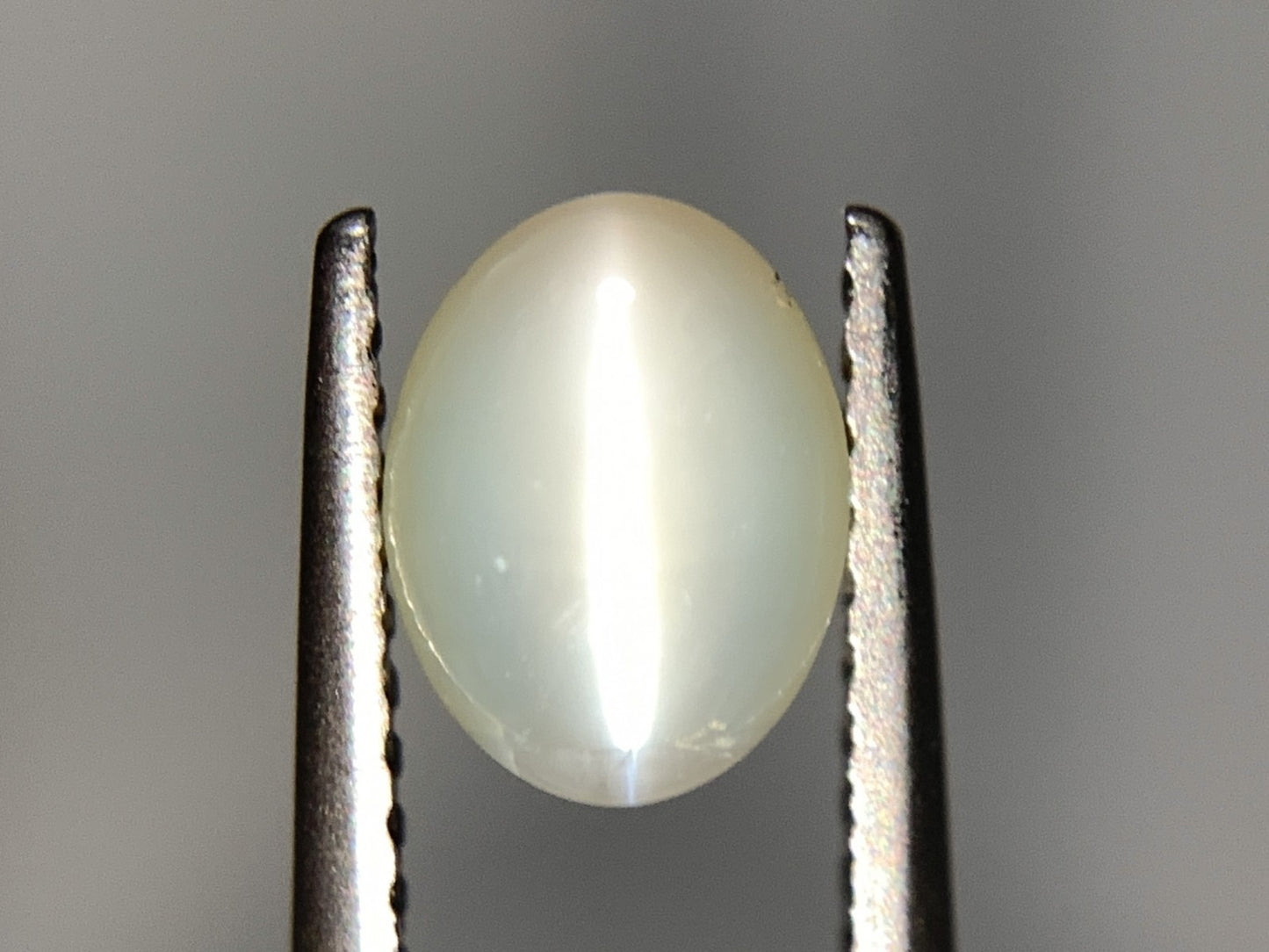 クリソベリルキャッツアイ 1.245ct  宝石ソーティング付き  7.0㎜×5.4㎜×3.3㎜ 天然 ルース（ 裸石 ） 4669Y