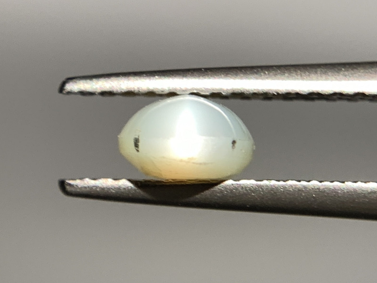 クリソベリルキャッツアイ 1.245ct  宝石ソーティング付き  7.0㎜×5.4㎜×3.3㎜ 天然 ルース（ 裸石 ） 4669Y