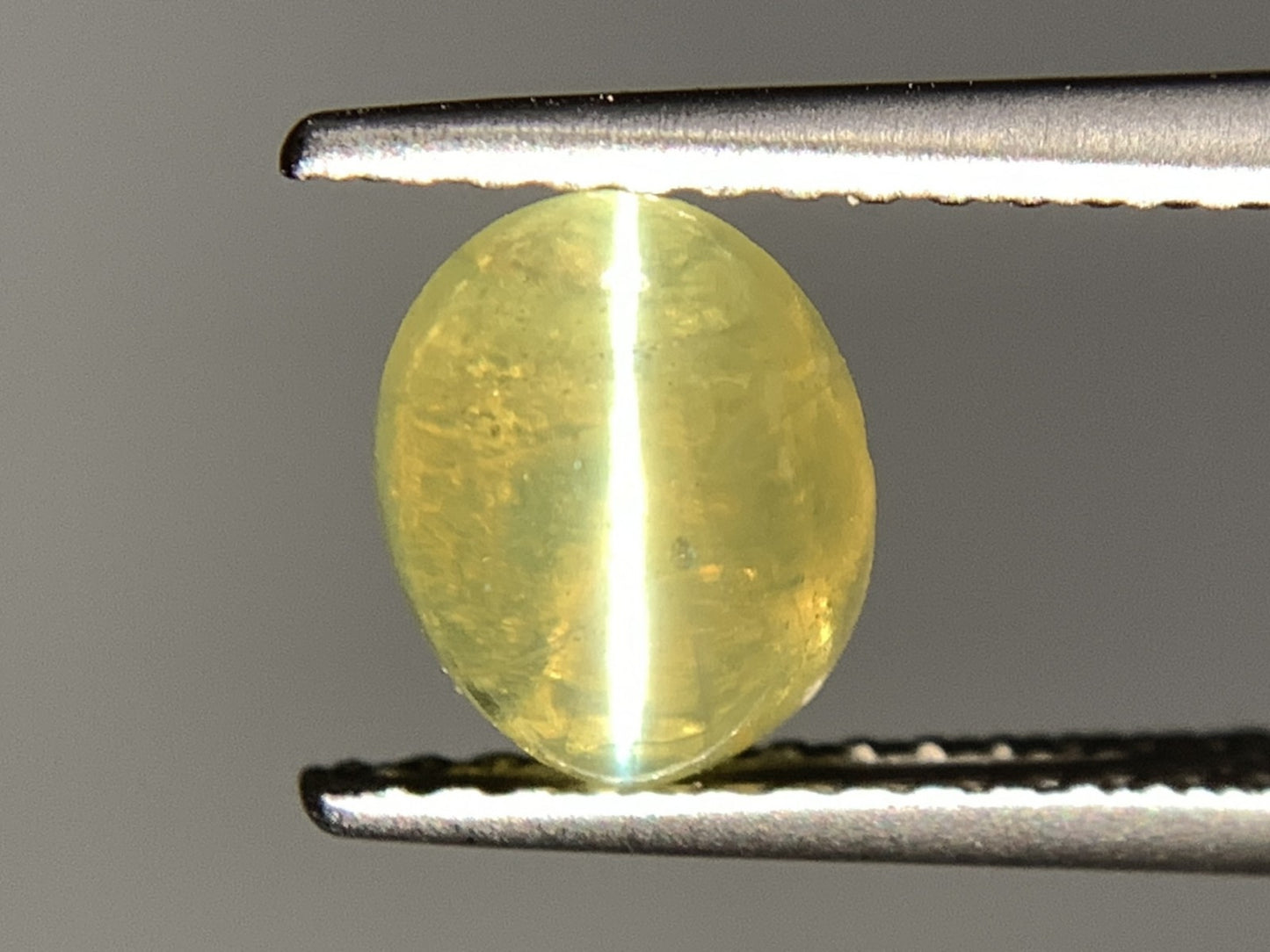 クリソベリルキャッツアイ 1.460ct  宝石ソーティング付き  7.3㎜×5.5㎜×3.7㎜ 天然 ルース（ 裸石 ） 4757Y