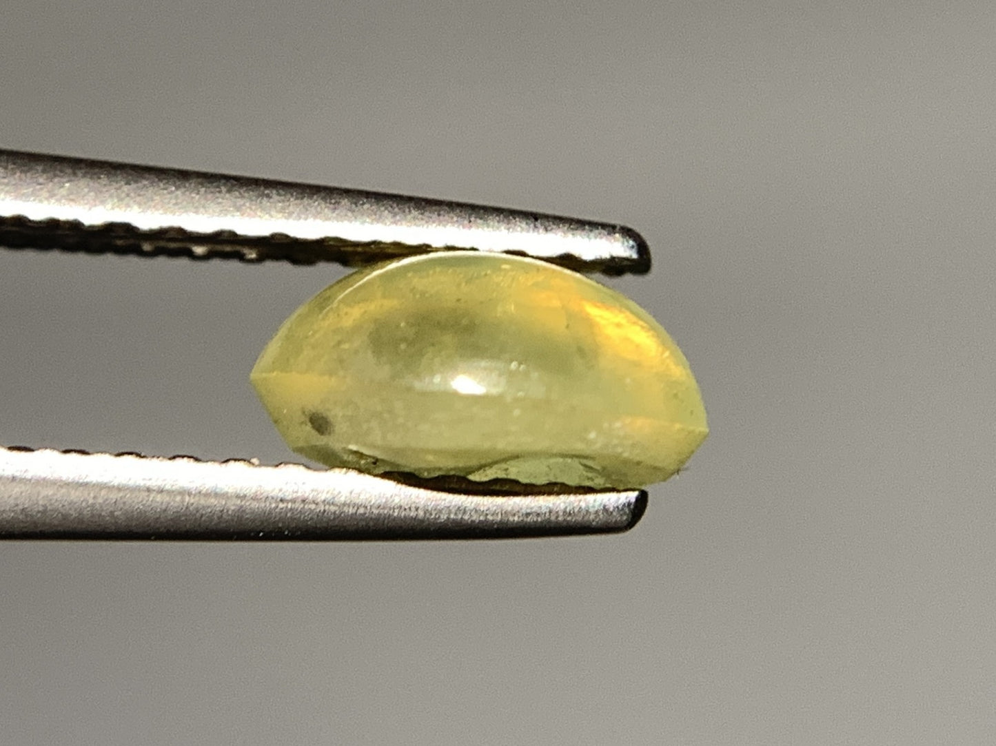 クリソベリルキャッツアイ 1.460ct  宝石ソーティング付き  7.3㎜×5.5㎜×3.7㎜ 天然 ルース（ 裸石 ） 4757Y