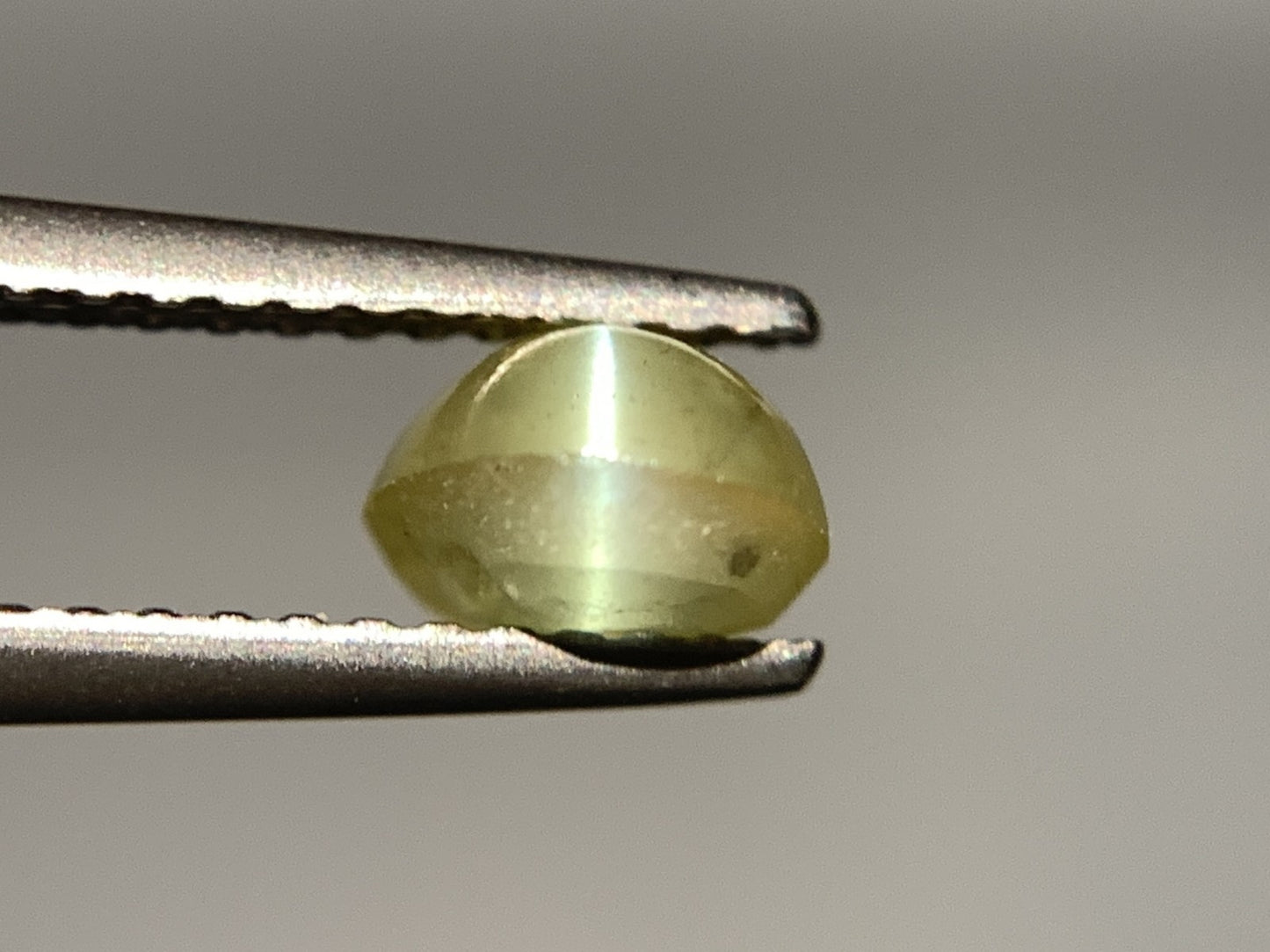 クリソベリルキャッツアイ 1.460ct  宝石ソーティング付き  7.3㎜×5.5㎜×3.7㎜ 天然 ルース（ 裸石 ） 4757Y