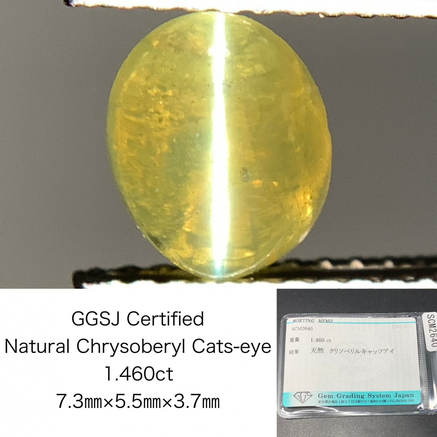 クリソベリルキャッツアイ 1.460ct  宝石ソーティング付き  7.3㎜×5.5㎜×3.7㎜ 天然 ルース（ 裸石 ） 4757Y