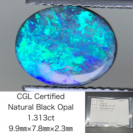 ブラックオパール 天然 1.313ct 中央宝石ソーティング付き 9.9㎜×7.8㎜×2.3㎜ ルース（ 裸石 ） 6482Y