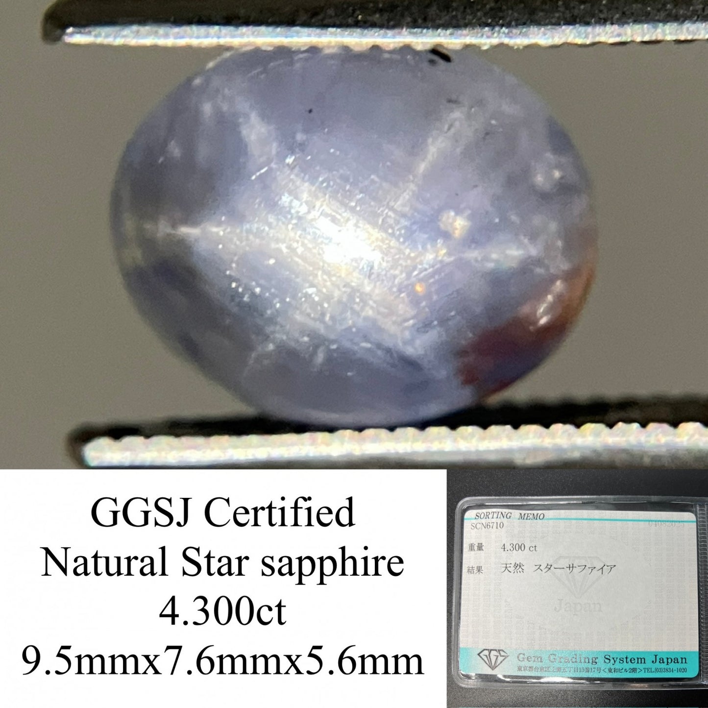 スターサファイア 天然 4.300ct 宝石ソーティング付き 9.5㎜×7.6㎜×5.6㎜ ルース（ 裸石 ） 6396YY
