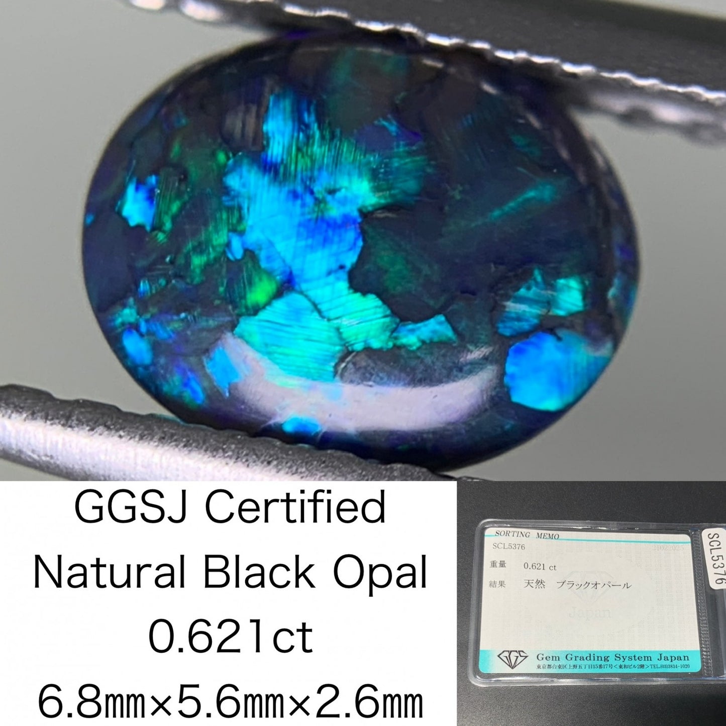ブラックオパール 0.621ct  宝石ソーティング付き  6.8㎜×5.6㎜×2.6㎜  ルース（ 裸石 ） 4116Y