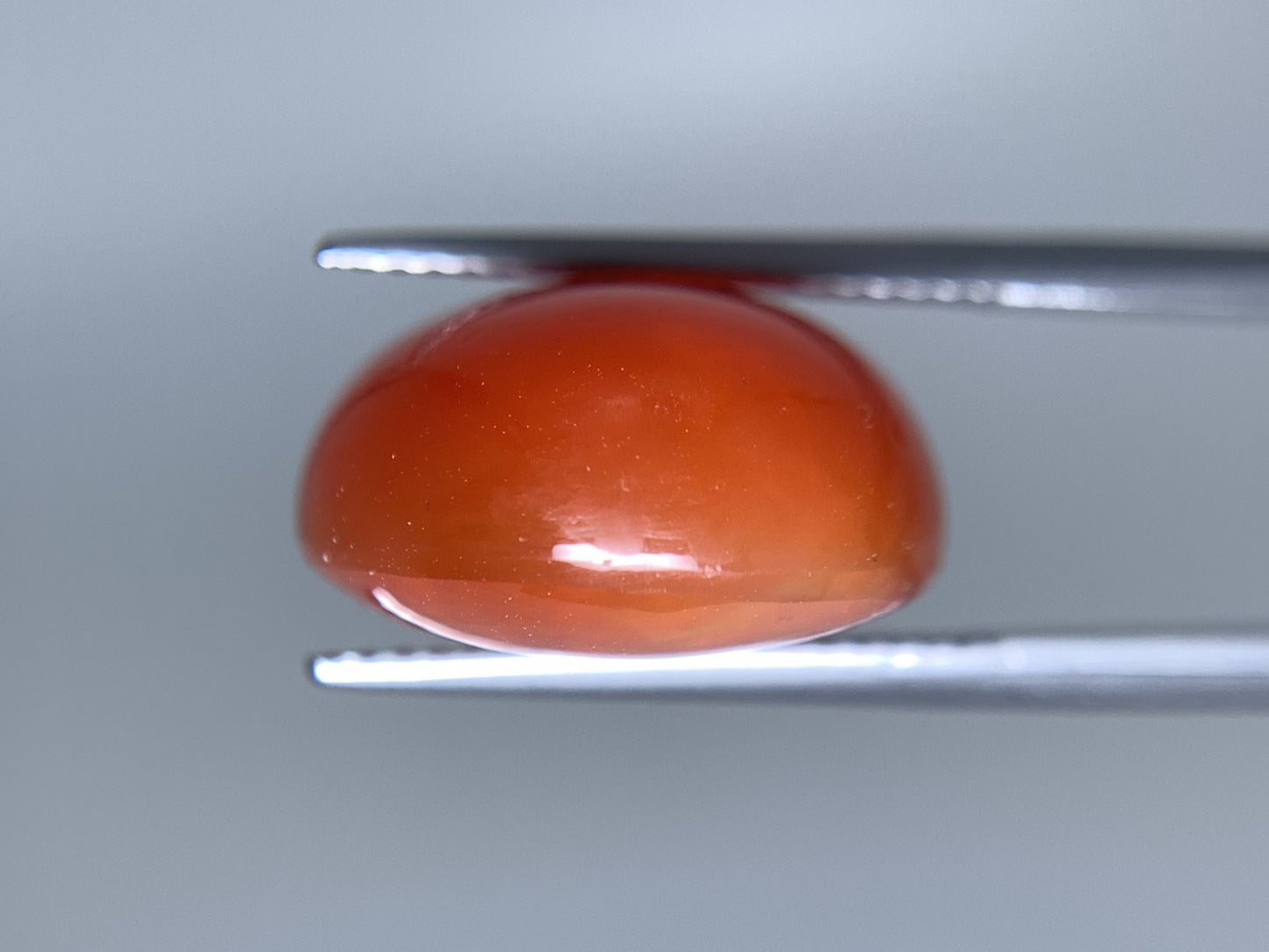 ファイアオパール 天然 17.841ct 中央宝石ソーティング付き 21.5㎜×15.8㎜×9.1㎜ ルース（ 裸石 ） 5496Y