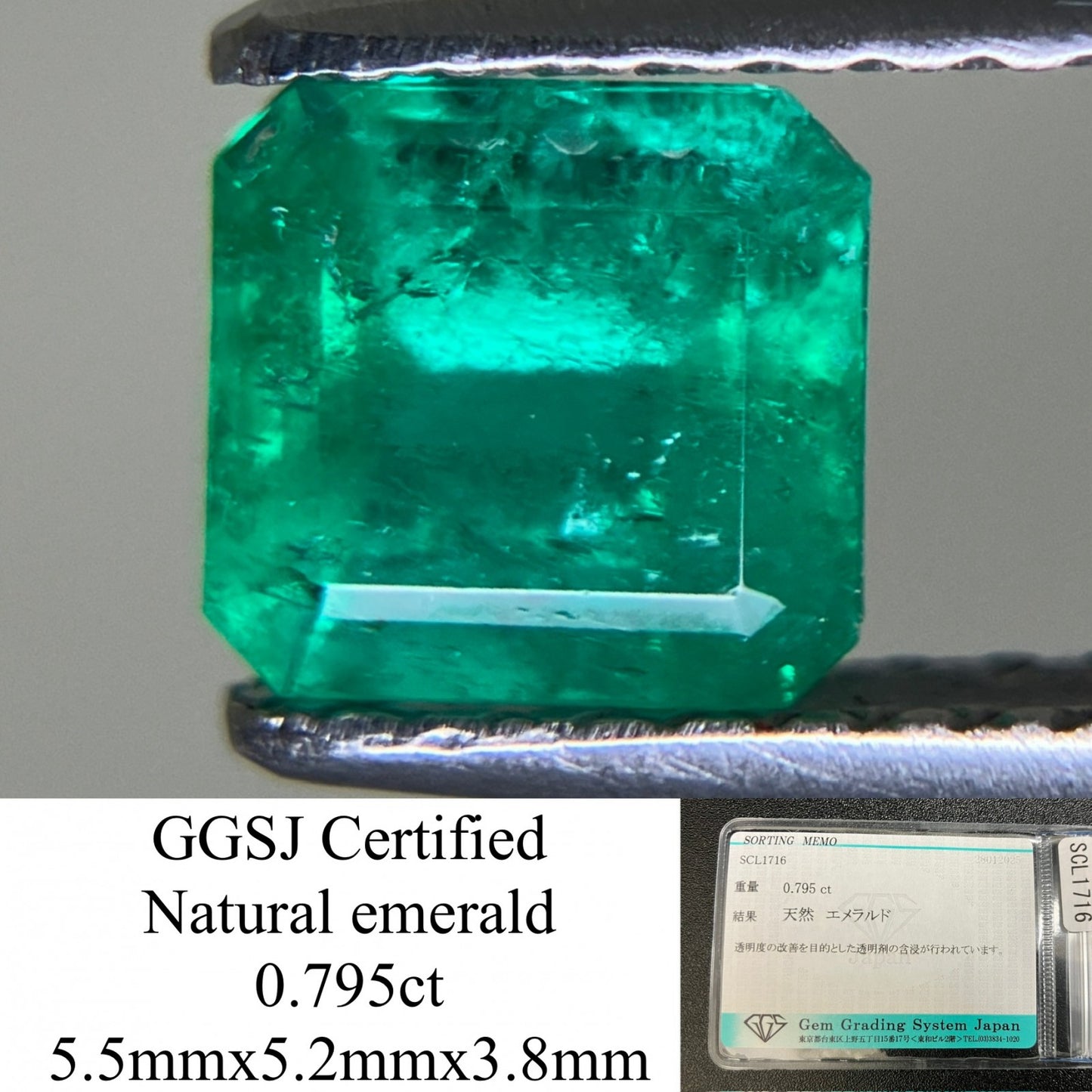 エメラルド 0.795ct 宝石ソーティング付き  5.5㎜×5.2㎜×3.8㎜  ルース（ 裸石 ） 3875YY