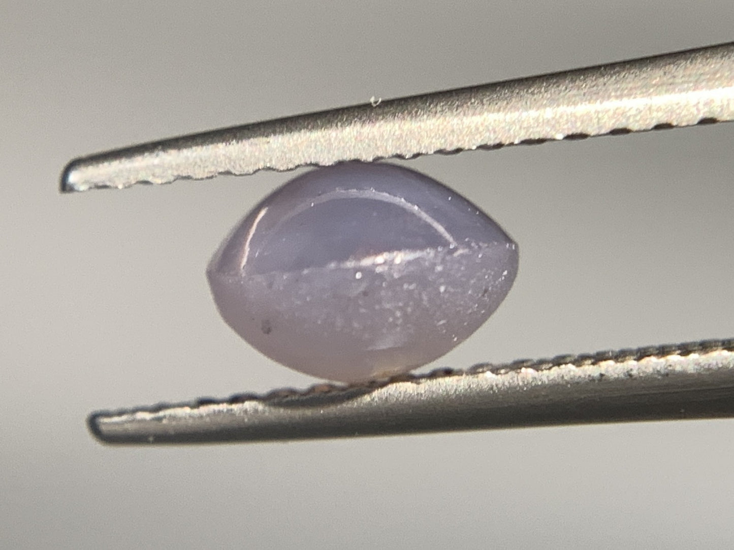 スターサファイア 天然  2.230ct  宝石ソーティング付き  7.9㎜×6.5㎜×4.4㎜ ルース（ 裸石 ）  5584Y