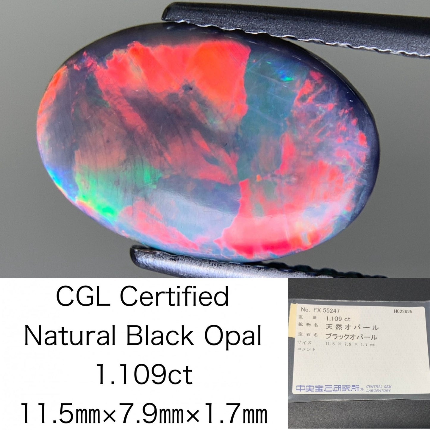 ブラックオパール 1.109ct  中央宝石ソーティング付き  11.5㎜×7.9㎜×1.7㎜  ルース（ 裸石 ） 4133Y