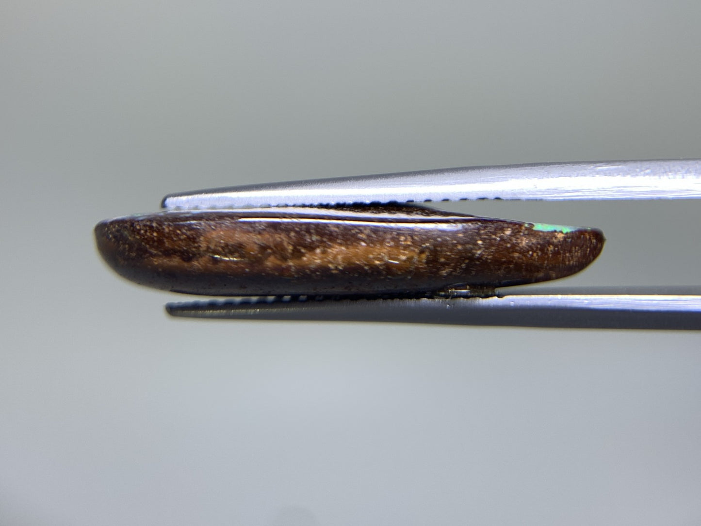 ボルダーオパール 10.165ct 宝石ソーティング付き  25.3㎜×10.5㎜×4.6㎜ ルース（ 裸石 ） 2302Y
