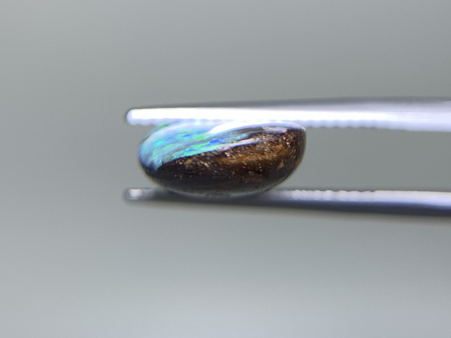 ボルダーオパール 10.165ct 宝石ソーティング付き  25.3㎜×10.5㎜×4.6㎜ ルース（ 裸石 ） 2302Y