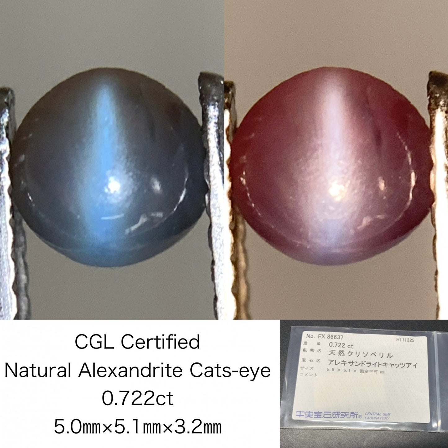 アレキサンドライトキャッツアイ 天然 0.722ct 中央宝石ソーティング付き 5.0㎜×5.1㎜×3.2㎜ ルース（ 裸石 ） 7395Y