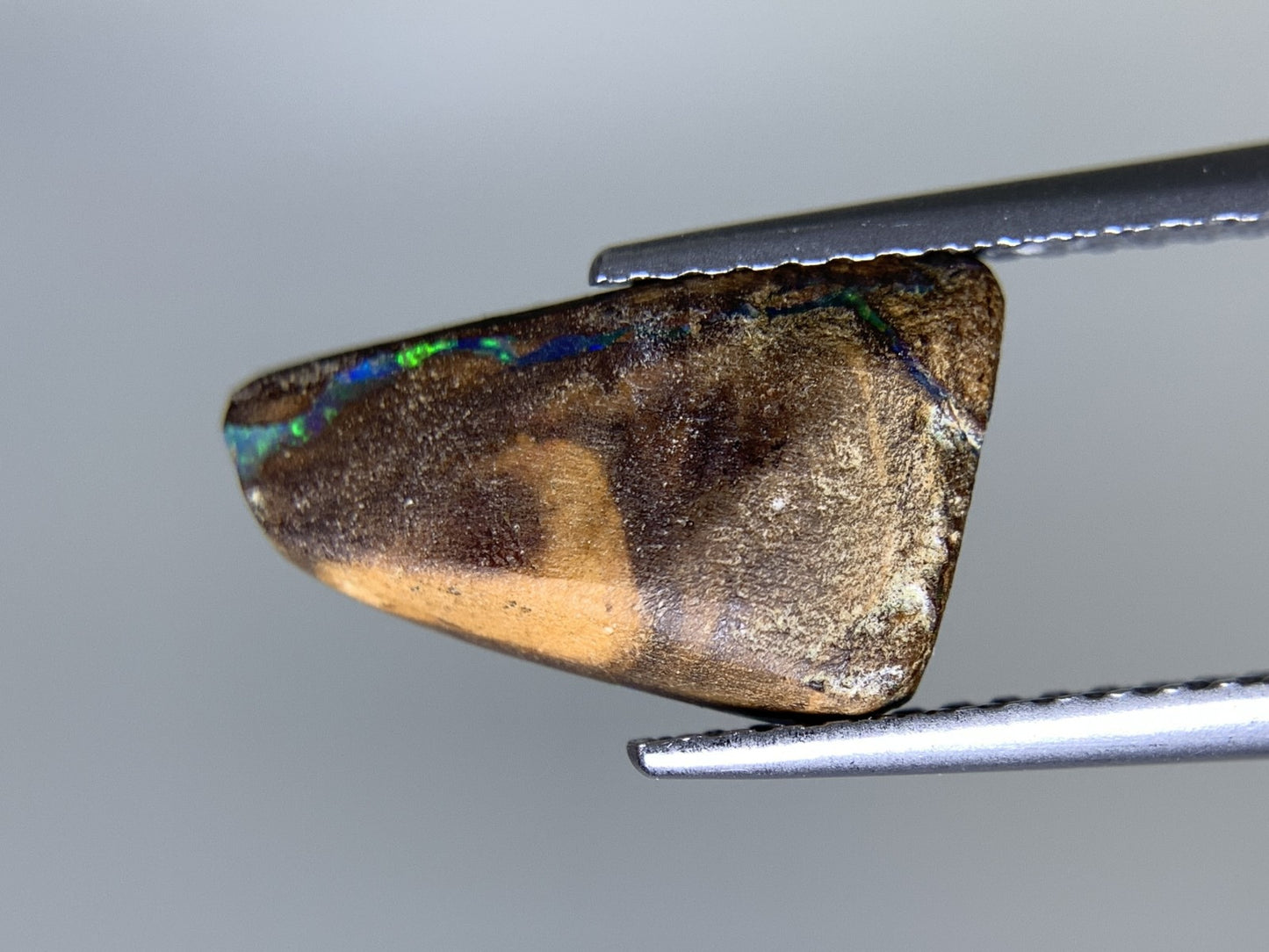 ボルダーオパール 天然 2.293ct 宝石ソーティング付き 14.0㎜×7.8㎜×3.1㎜ ルース（ 裸石 ） 7470Y