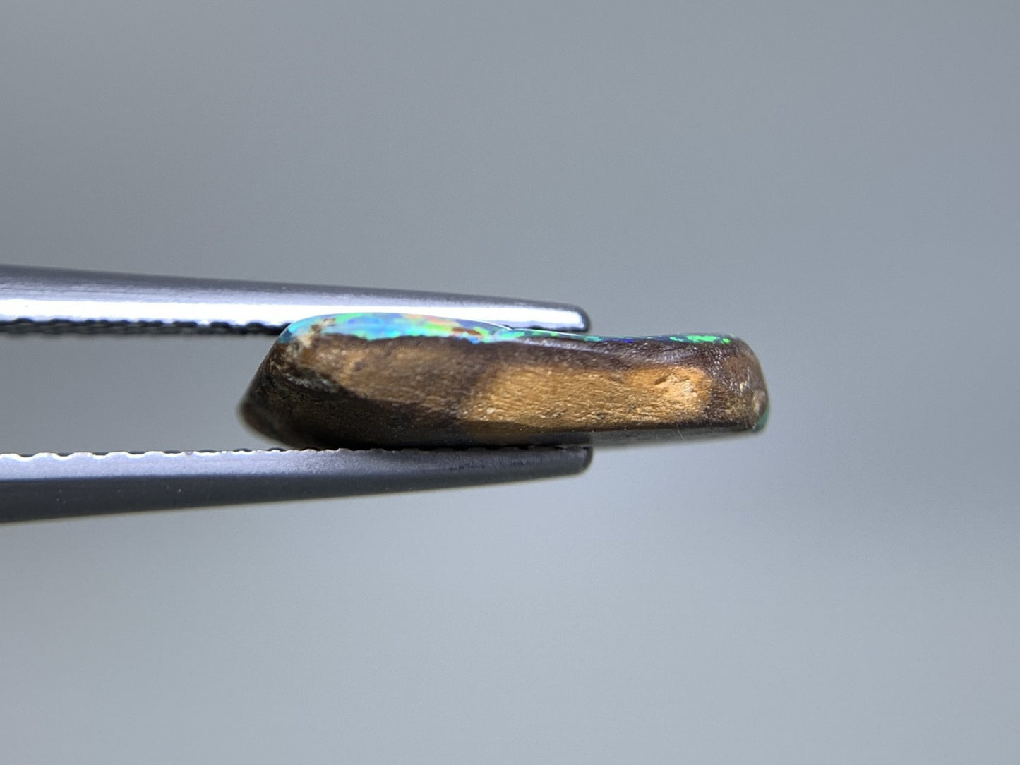 ボルダーオパール 天然 2.293ct 宝石ソーティング付き 14.0㎜×7.8㎜×3.1㎜ ルース（ 裸石 ） 7470Y