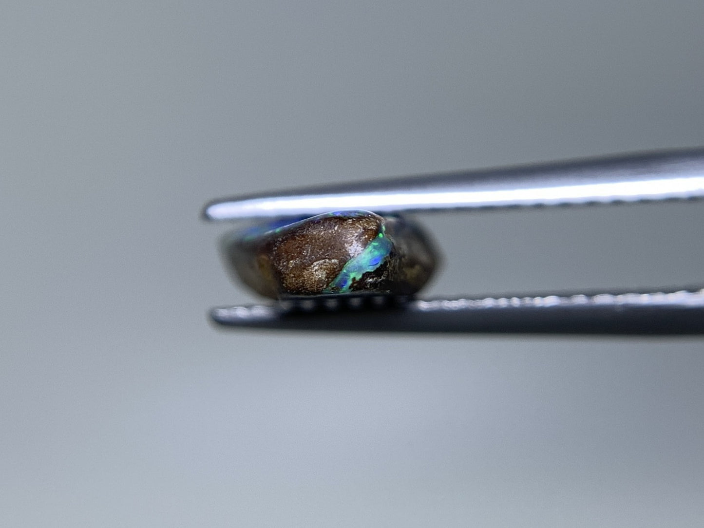 ボルダーオパール 天然 2.293ct 宝石ソーティング付き 14.0㎜×7.8㎜×3.1㎜ ルース（ 裸石 ） 7470Y
