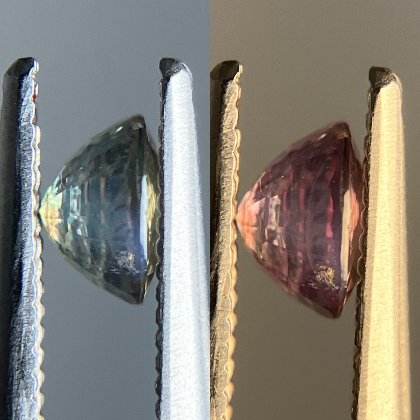 アレキサンドライト 天然 0.707ct 中央宝石ソーティング付き 5.21㎜×5.08㎜×3.24㎜ ルース（ 裸石 ） 6378YY