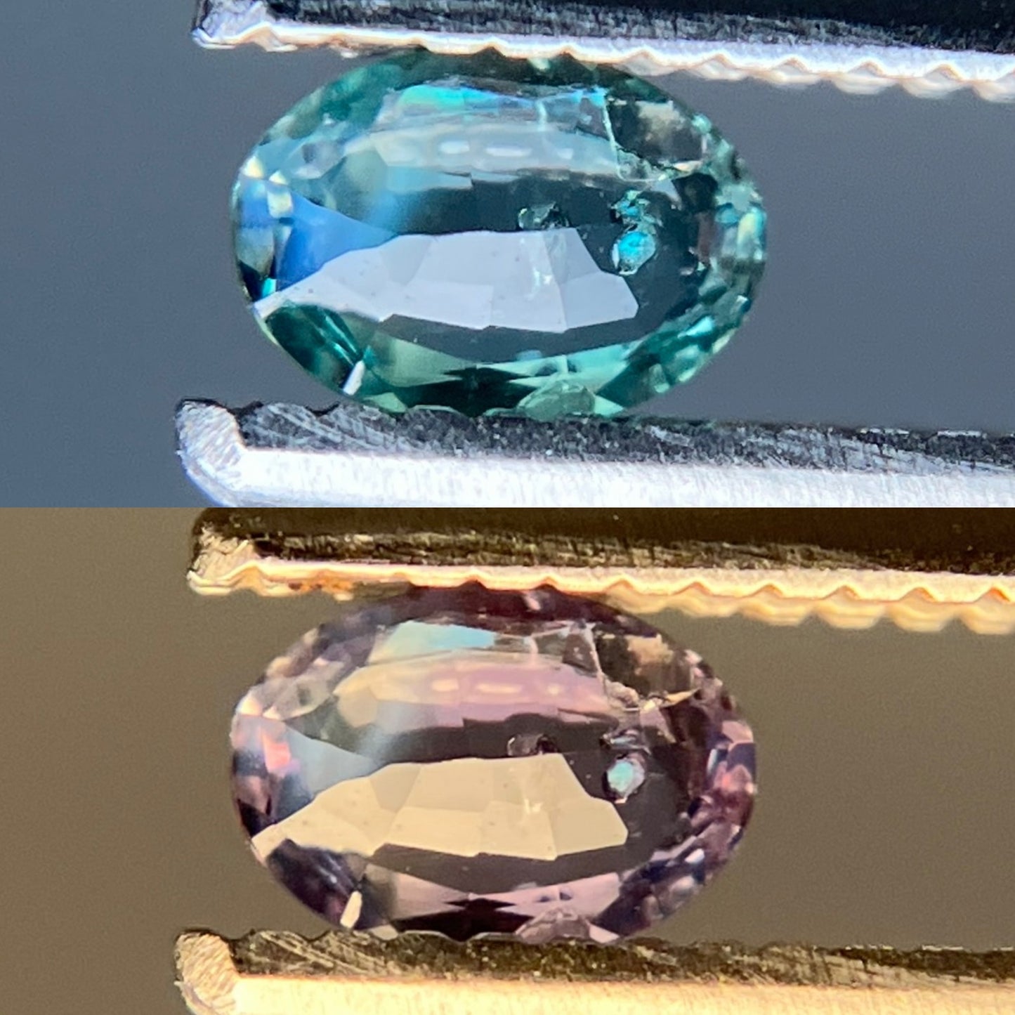 アレキサンドライト 天然 0.180ct 中央宝石ソーティング付き 4.41㎜×3.13㎜×1.60㎜ ルース（ 裸石 ） 6338YY