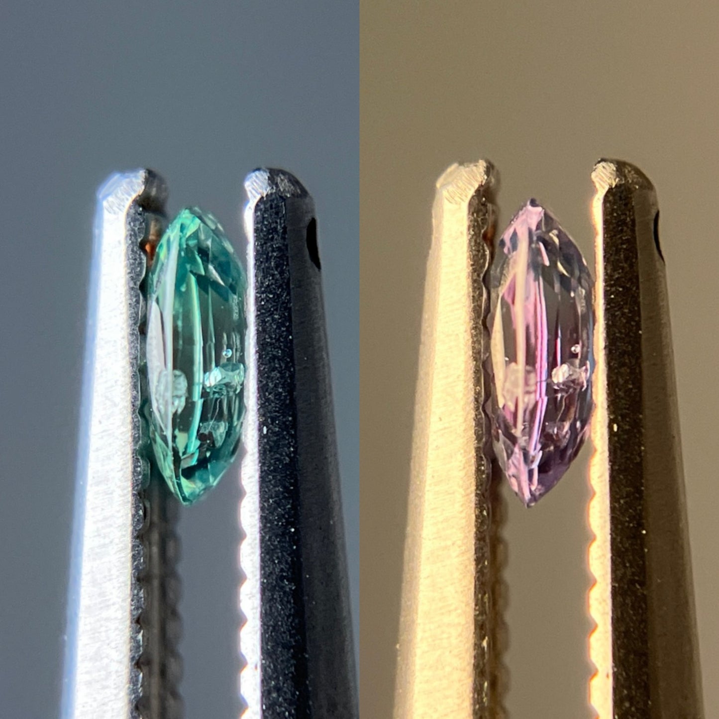 アレキサンドライト 天然 0.180ct 中央宝石ソーティング付き 4.41㎜×3.13㎜×1.60㎜ ルース（ 裸石 ） 6338YY