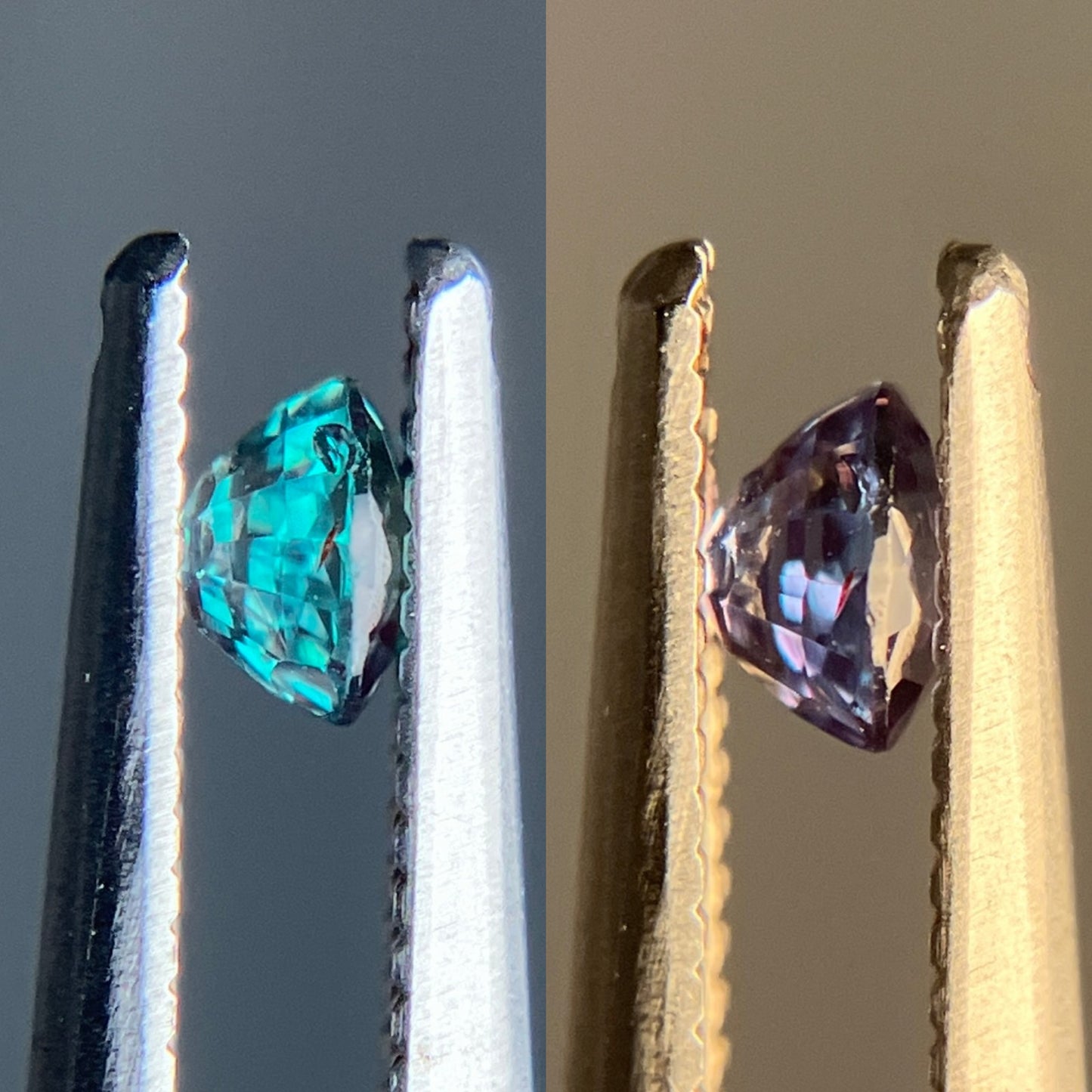 アレキサンドライト 天然 0.275ct 中央宝石ソーティング付き 3.81㎜×3.65㎜×2.46㎜ ルース（ 裸石 ） 6398YY