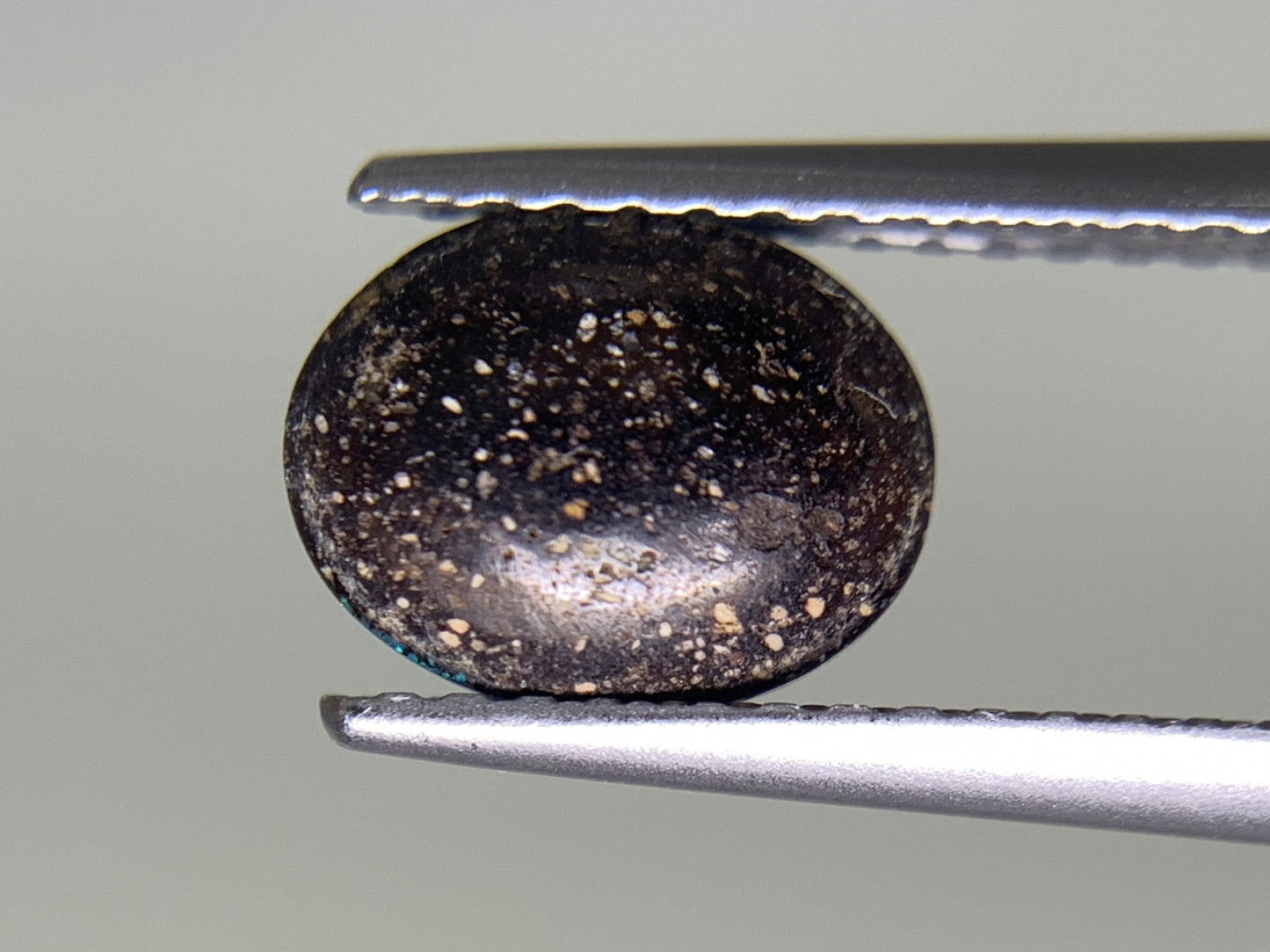 ボルダーオパール 1.134ct 宝石ソーティング付き  8.1㎜×6.4㎜×2.8㎜ ルース（ 裸石 ） 2325Y