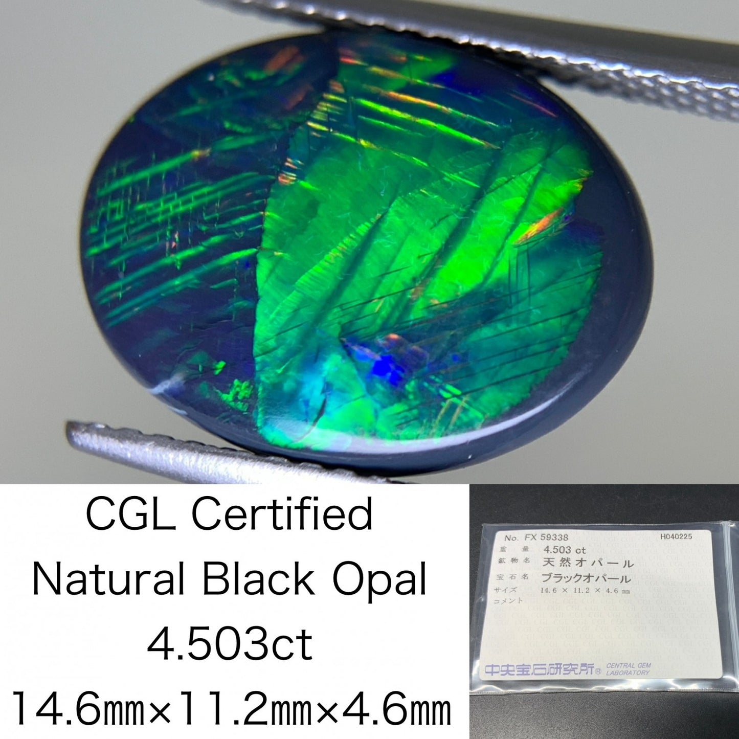 ブラックオパール 4.503ct  中央宝石ソーティング付き  14.6㎜×11.2㎜×4.6㎜  天然 ルース（ 裸石 ） 4624Y