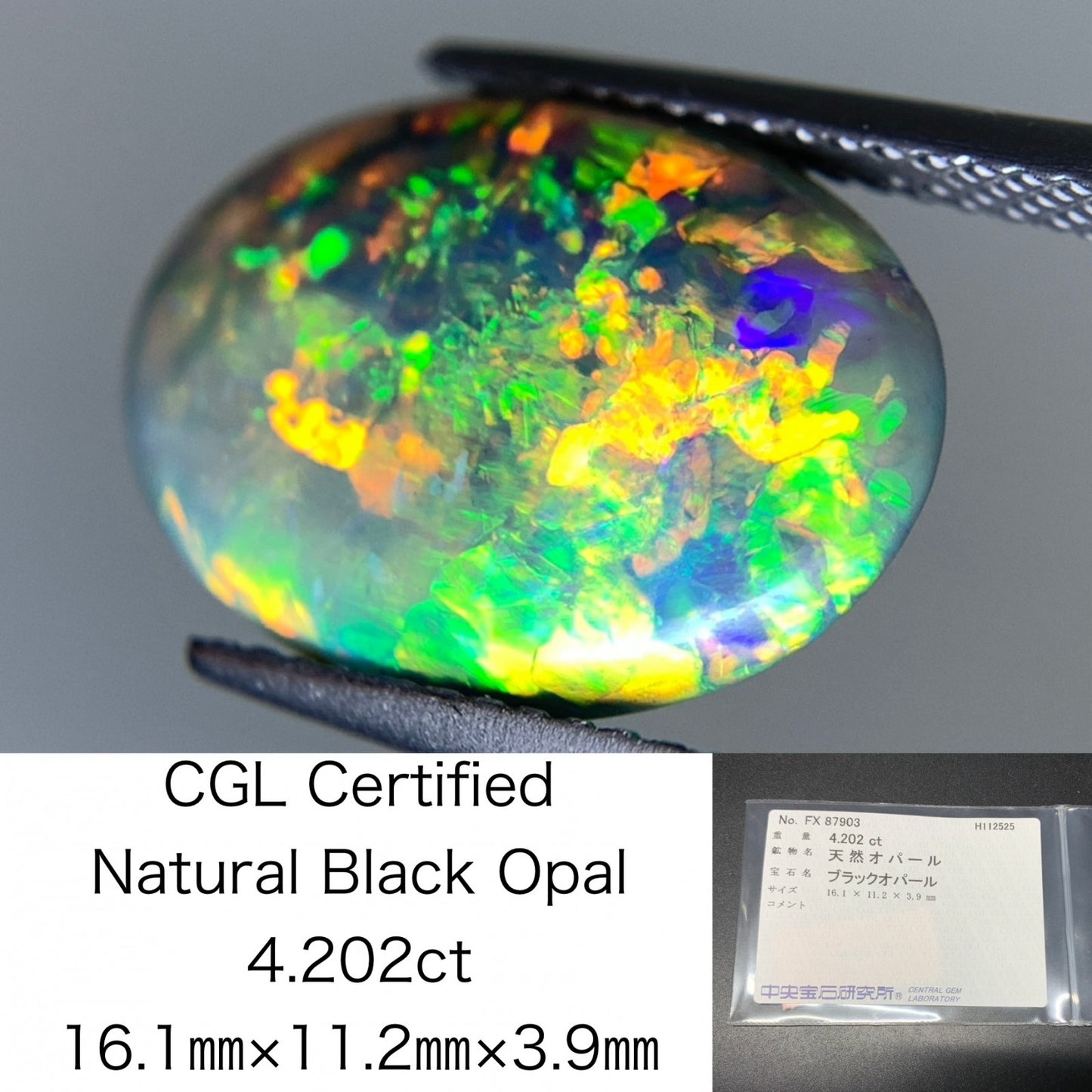 ブラックオパール 天然 4.202ct 中央宝石ソーティング付き 16.1㎜×11.2㎜×3.9㎜ ルース（ 裸石 ） 7445Y