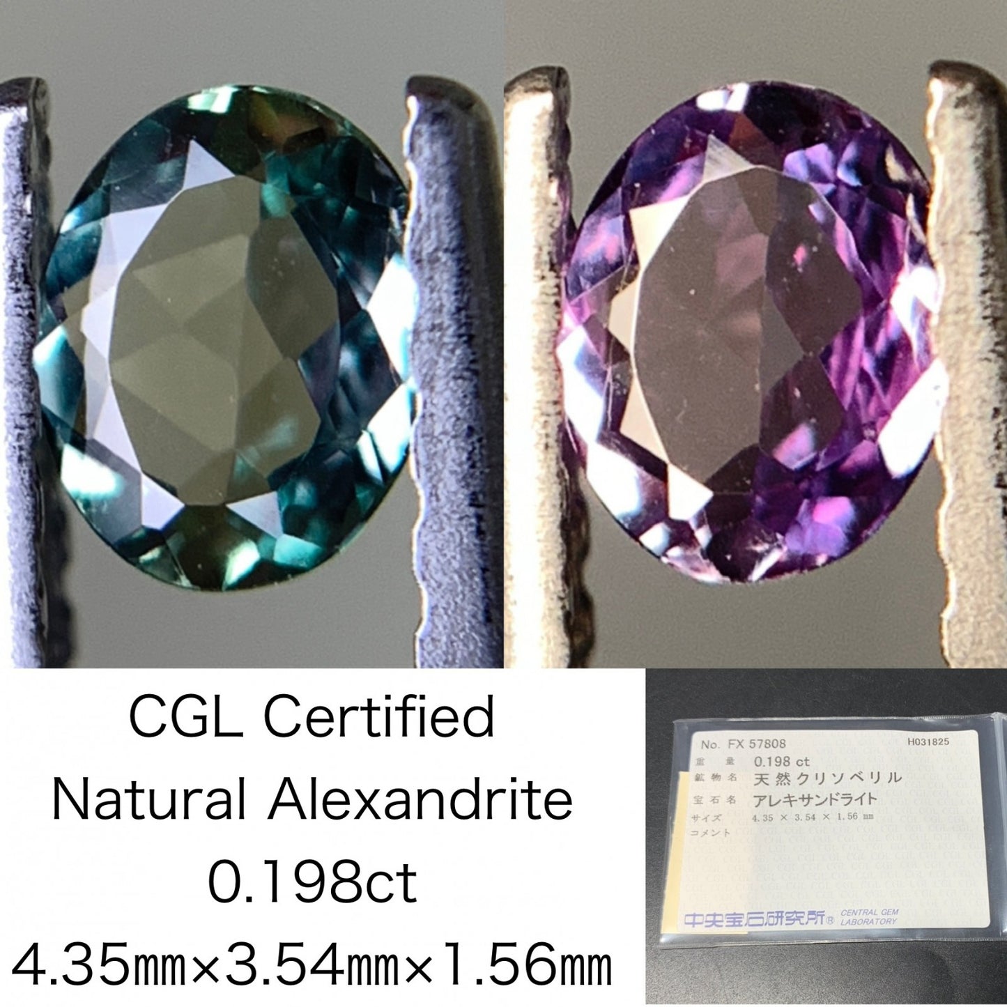 アレキサンドライト 0.198ct  中央宝石ソーティング付き  4.35㎜×3.54㎜×1.56㎜  天然 ルース（ 裸石 ） 4484Y
