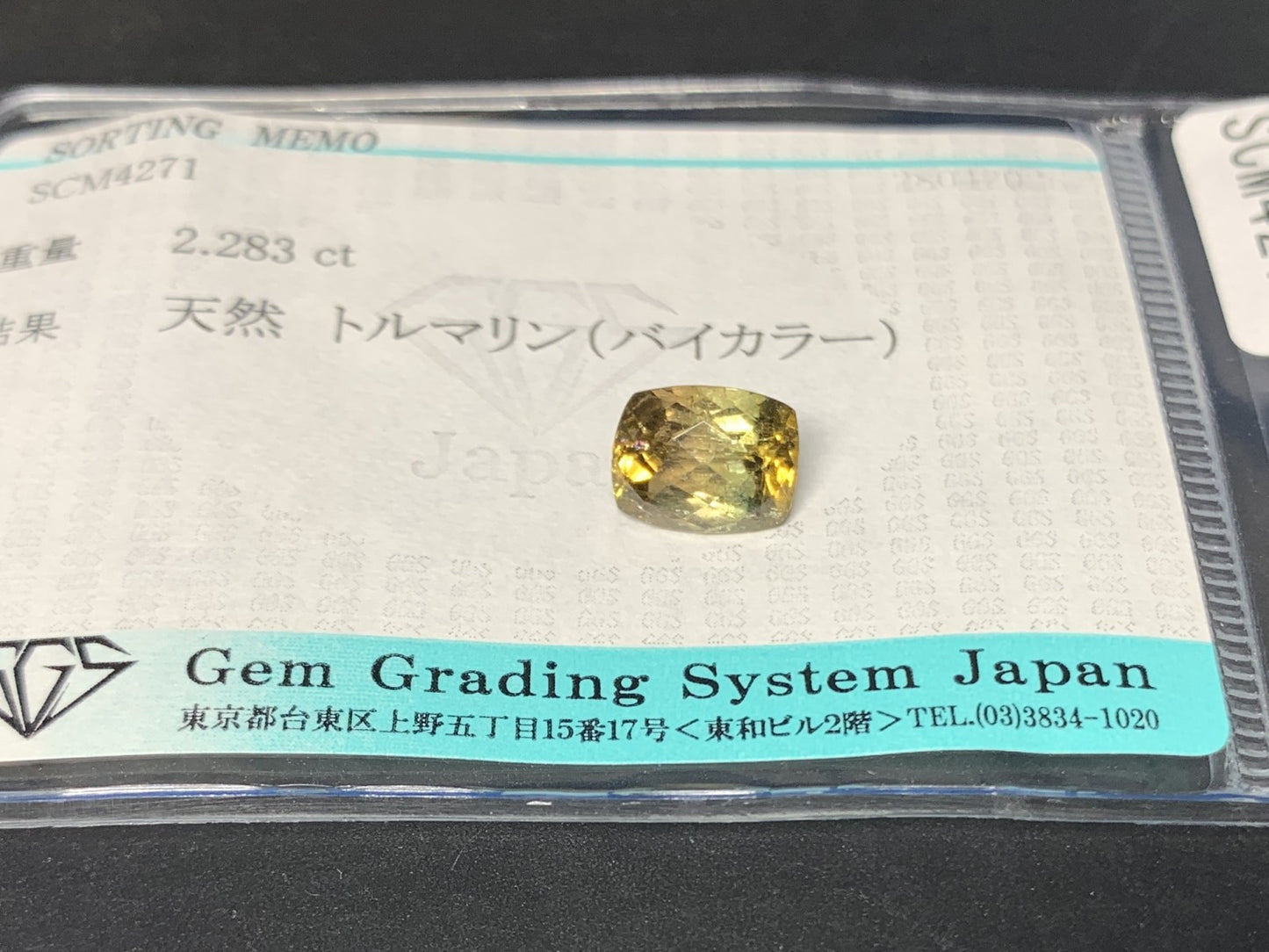 トルマリン（バイカラー） 2.283ct  宝石ソーティング付き  8.8㎜×6.8㎜×5.1㎜  天然 ルース（ 裸石 ） 4955Y