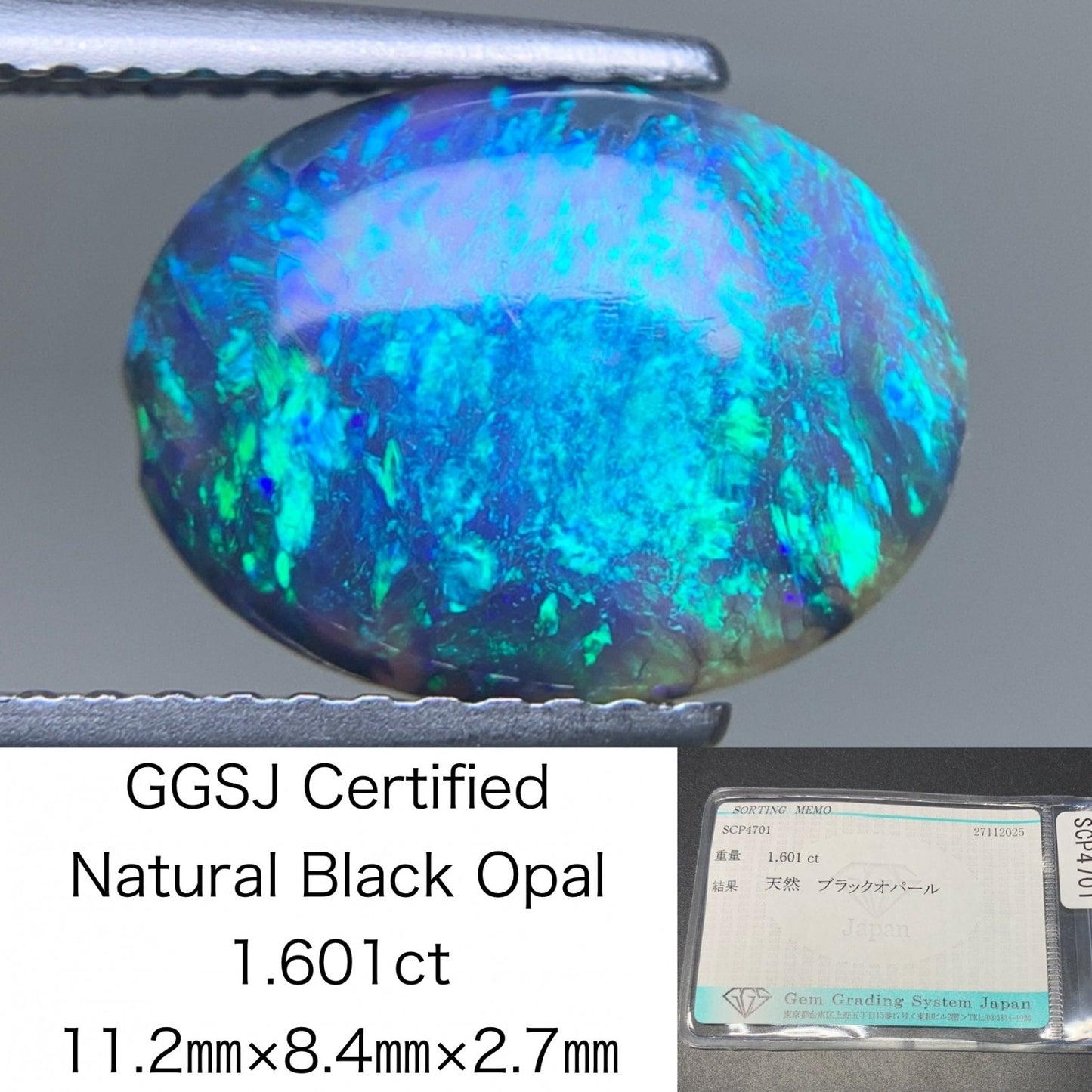 ブラックオパール 天然 1.601ct 宝石ソーティング付き 11.2㎜×8.4㎜×2.7㎜ ルース（ 裸石 ） 7506Y