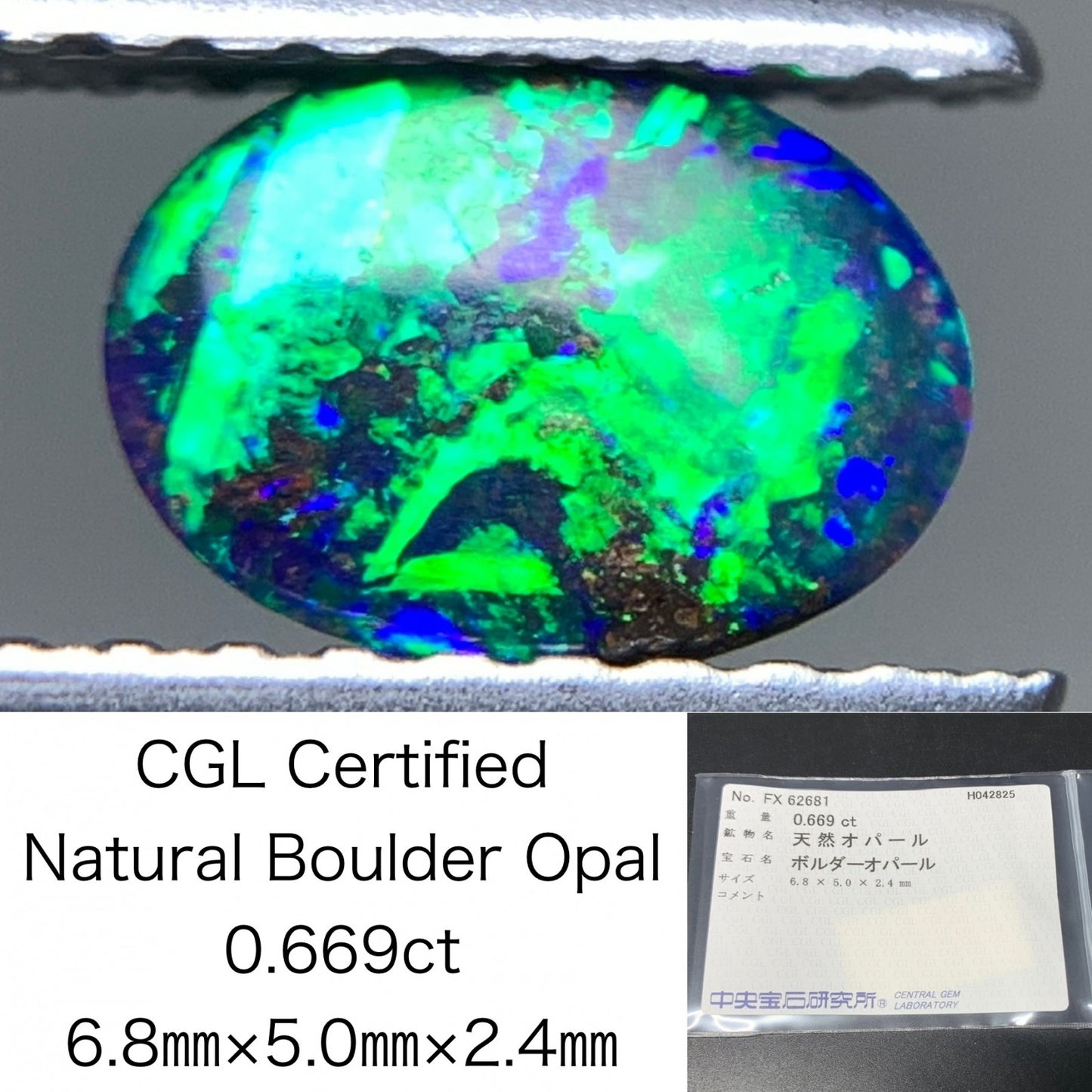 ボルダーオパール 0.669ct  中央宝石ソーティング付き  6.8㎜×5.0㎜×2.4㎜  天然 ルース（ 裸石 ） 4771Y