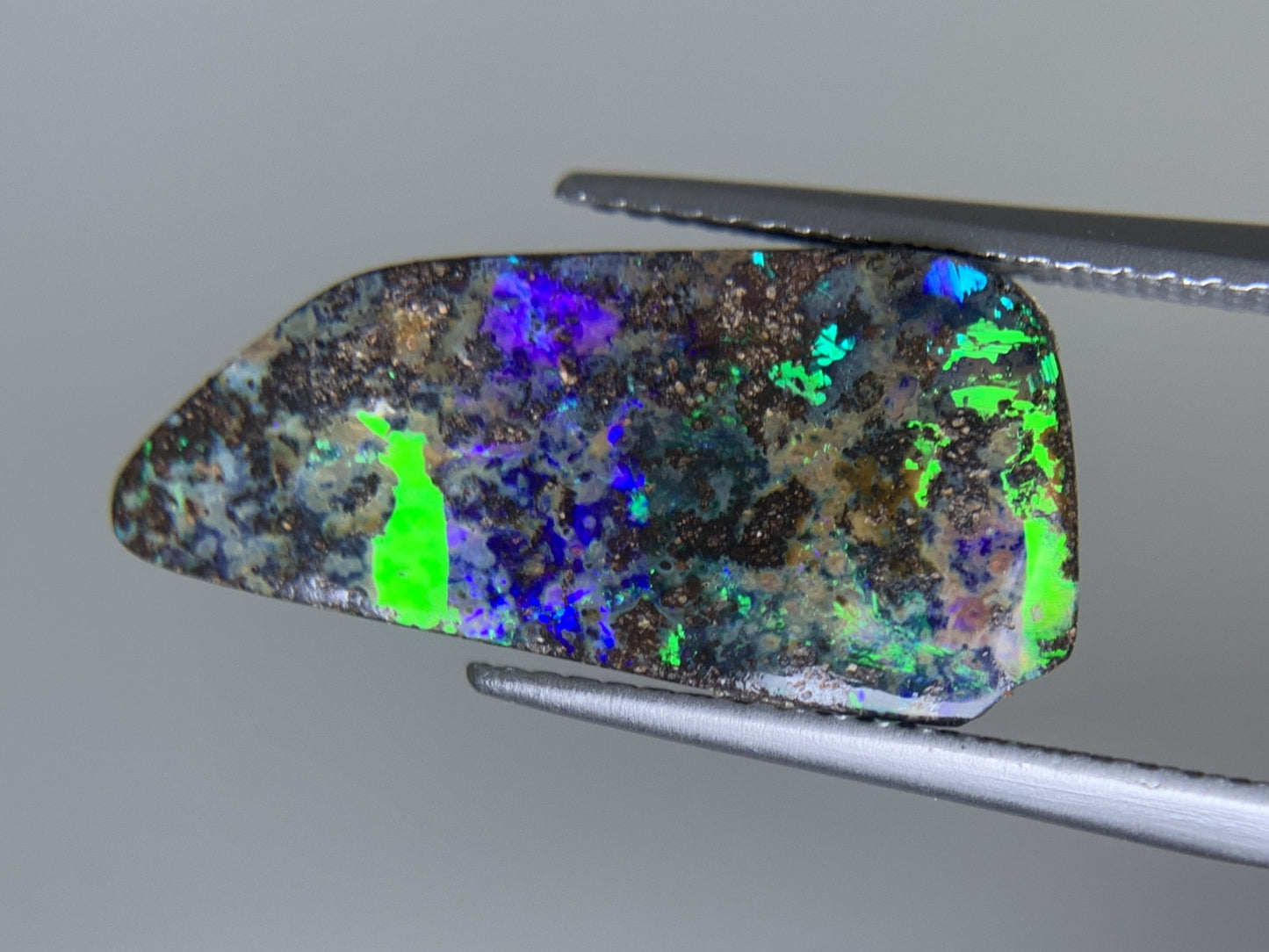 ボルダーオパール 天然 6.313ct 宝石ソーティング付き 20.7㎜×9.8㎜×4.0㎜ ルース（ 裸石 ） 7502Y